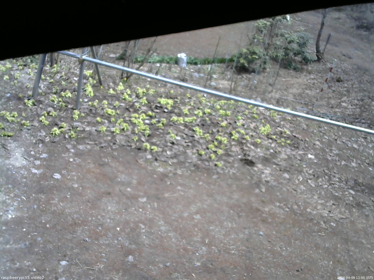 長野県菅平高原 ゆたか山荘 駐車場 2026/04/09 11:45