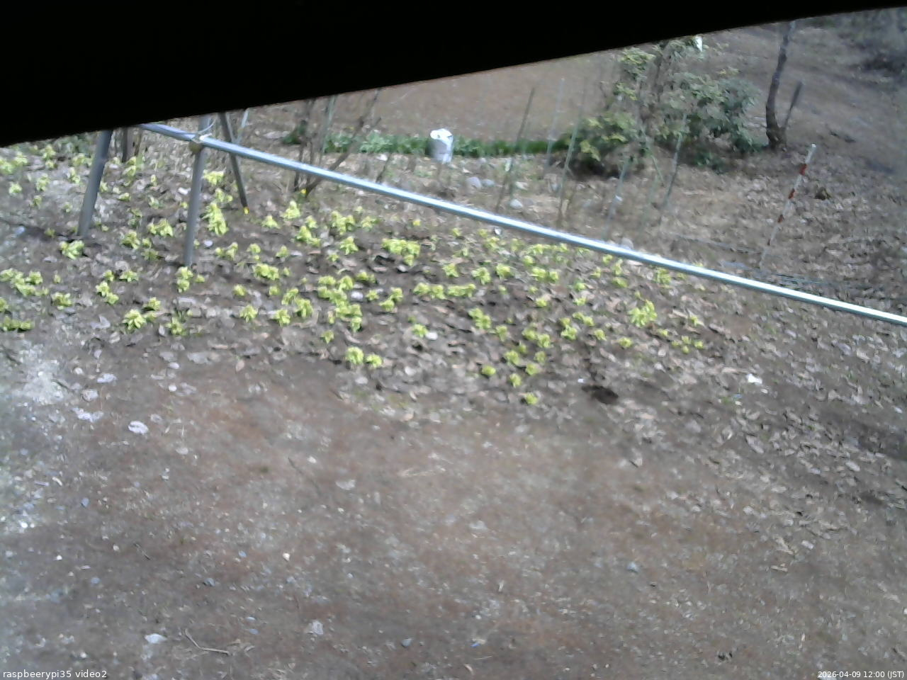 長野県菅平高原 ゆたか山荘 駐車場 2026/04/09 12:00