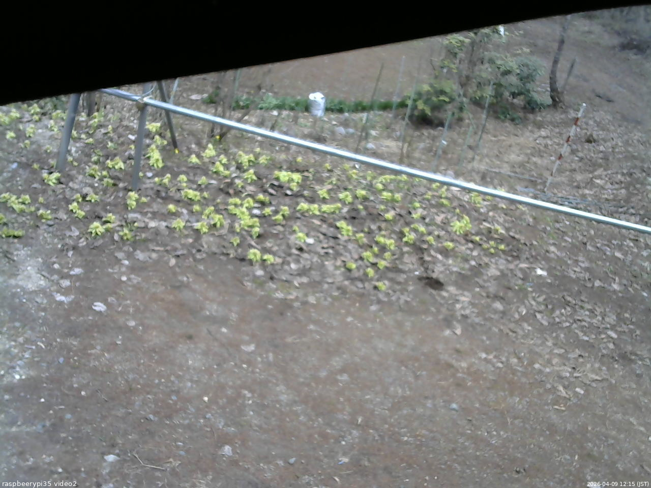 長野県菅平高原 ゆたか山荘 駐車場 2026/04/09 12:15