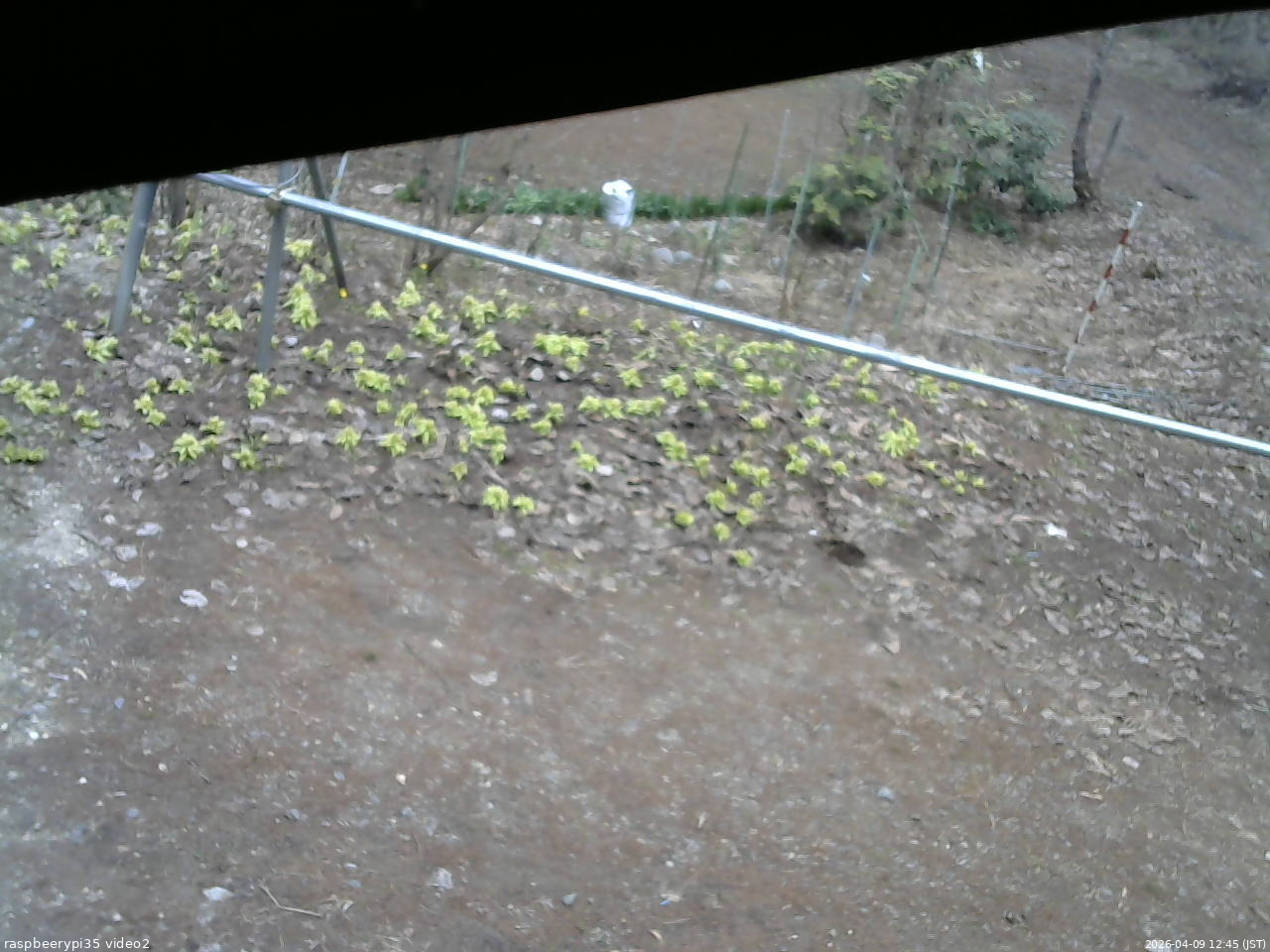 長野県菅平高原 ゆたか山荘 駐車場 2026/04/09 12:45