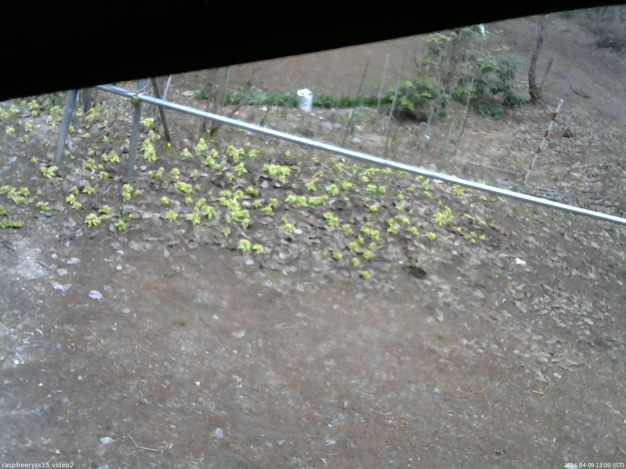 長野県菅平高原 ゆたか山荘 駐車場 2026/04/09 13:00