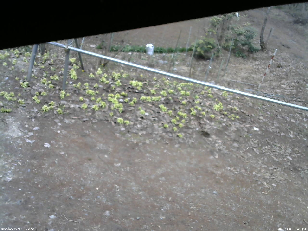 長野県菅平高原 ゆたか山荘 駐車場 2026/04/09 13:45