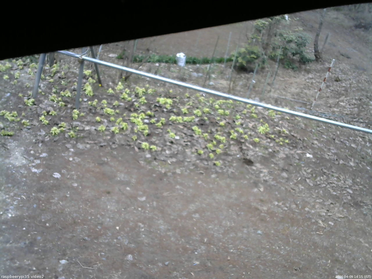 長野県菅平高原 ゆたか山荘 駐車場 2026/04/09 14:15
