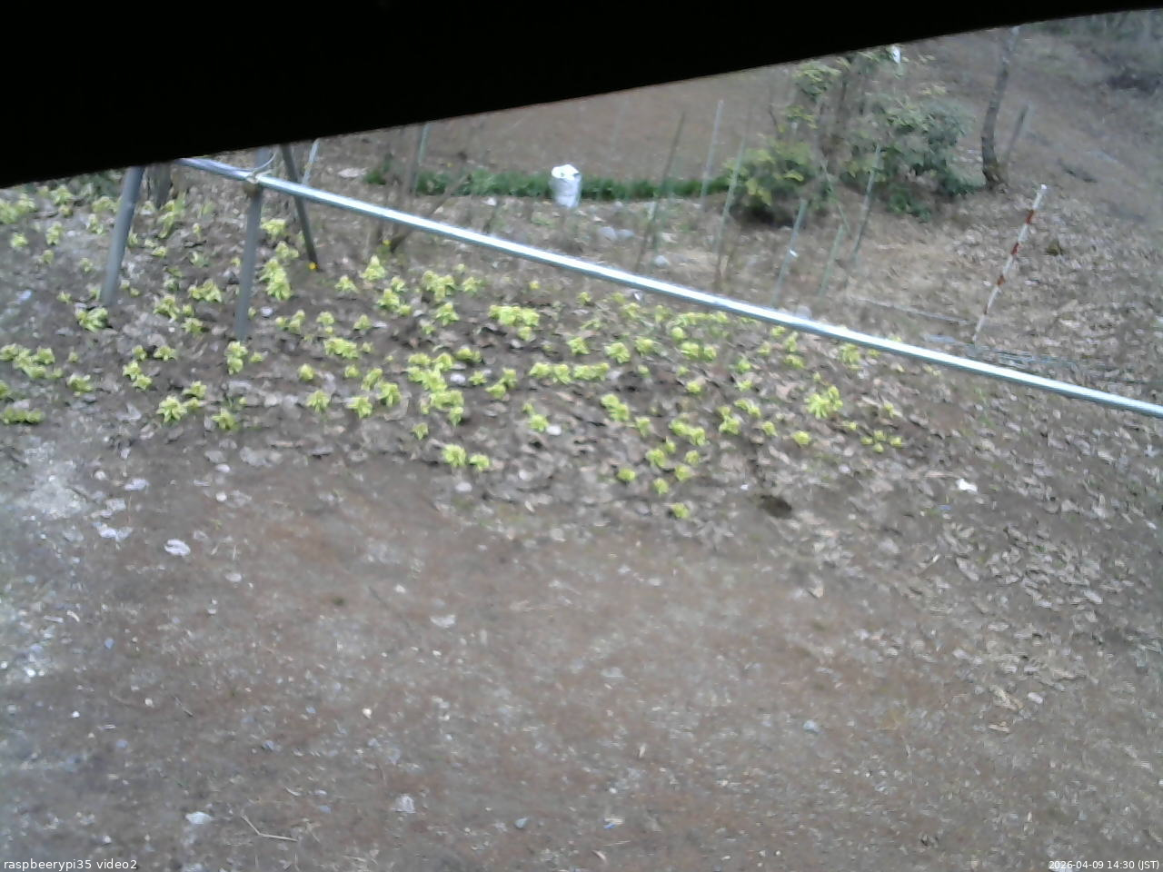 長野県菅平高原 ゆたか山荘 駐車場 2026/04/09 14:30