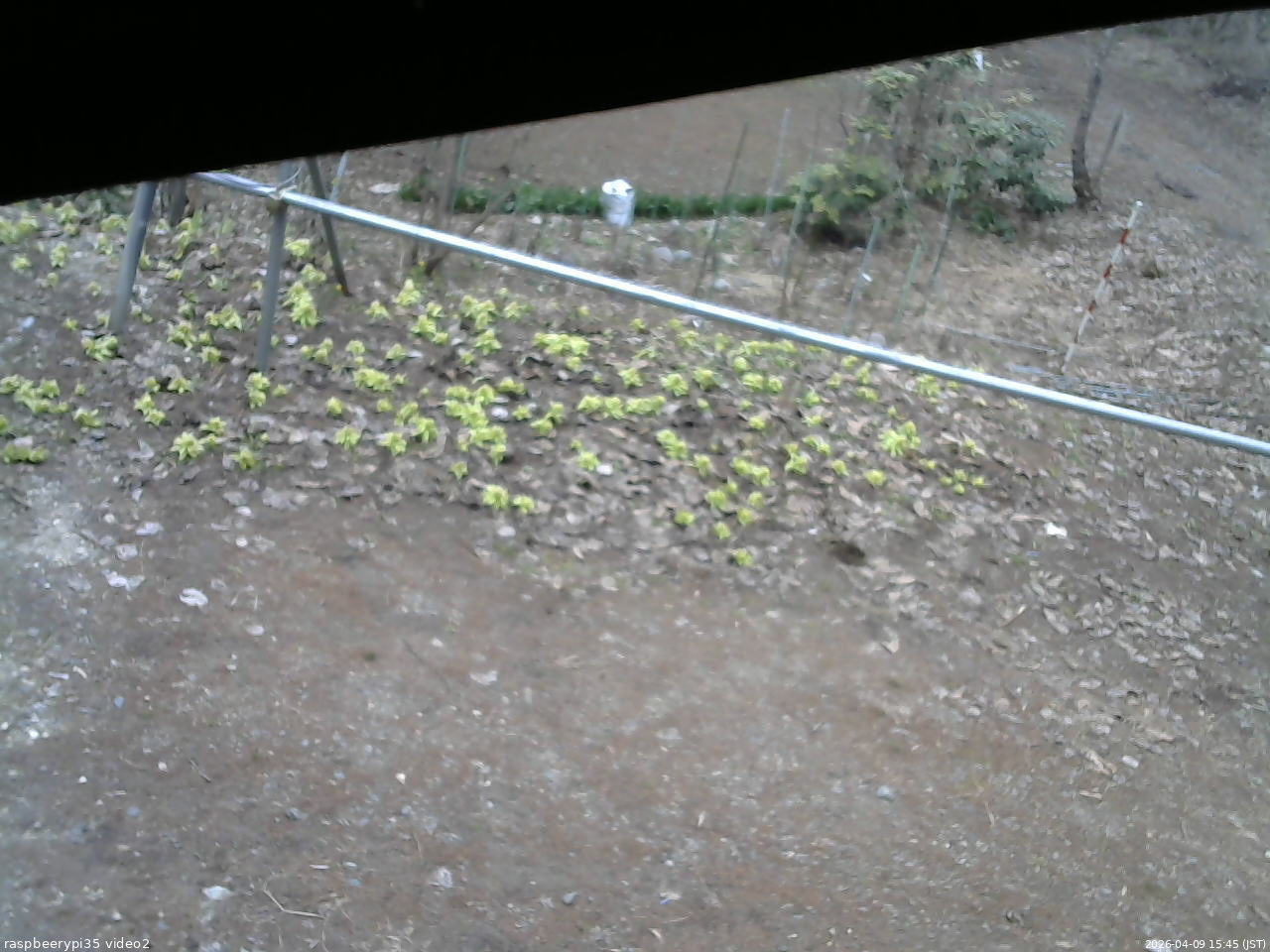 長野県菅平高原 ゆたか山荘 駐車場 2026/04/09 15:45