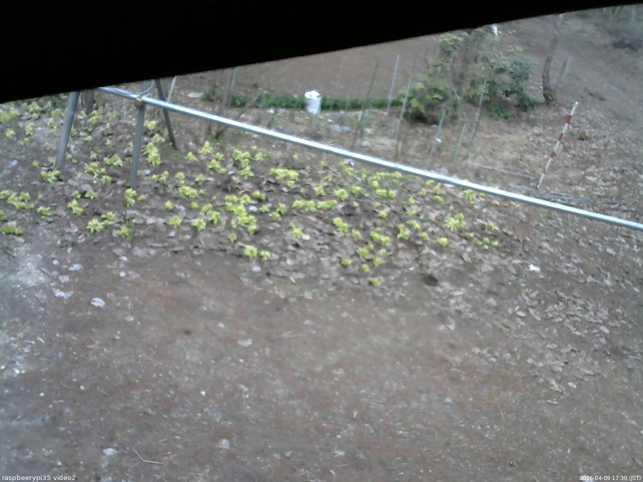 長野県菅平高原 ゆたか山荘 駐車場 2026/04/09 17:30