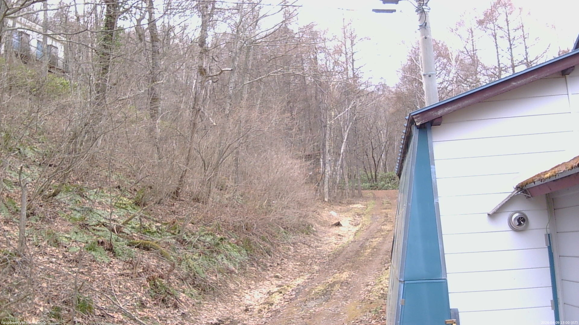 長野県菅平高原 ゆたか山荘 ゆたか山荘 2026/04/09 13:00