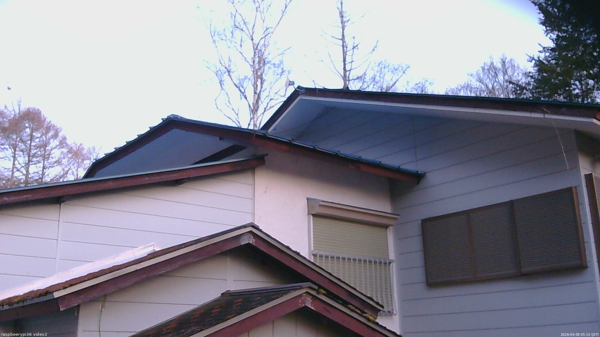 長野県菅平高原 ゆたか山荘 駐車場奥 2026/04/09 05:15