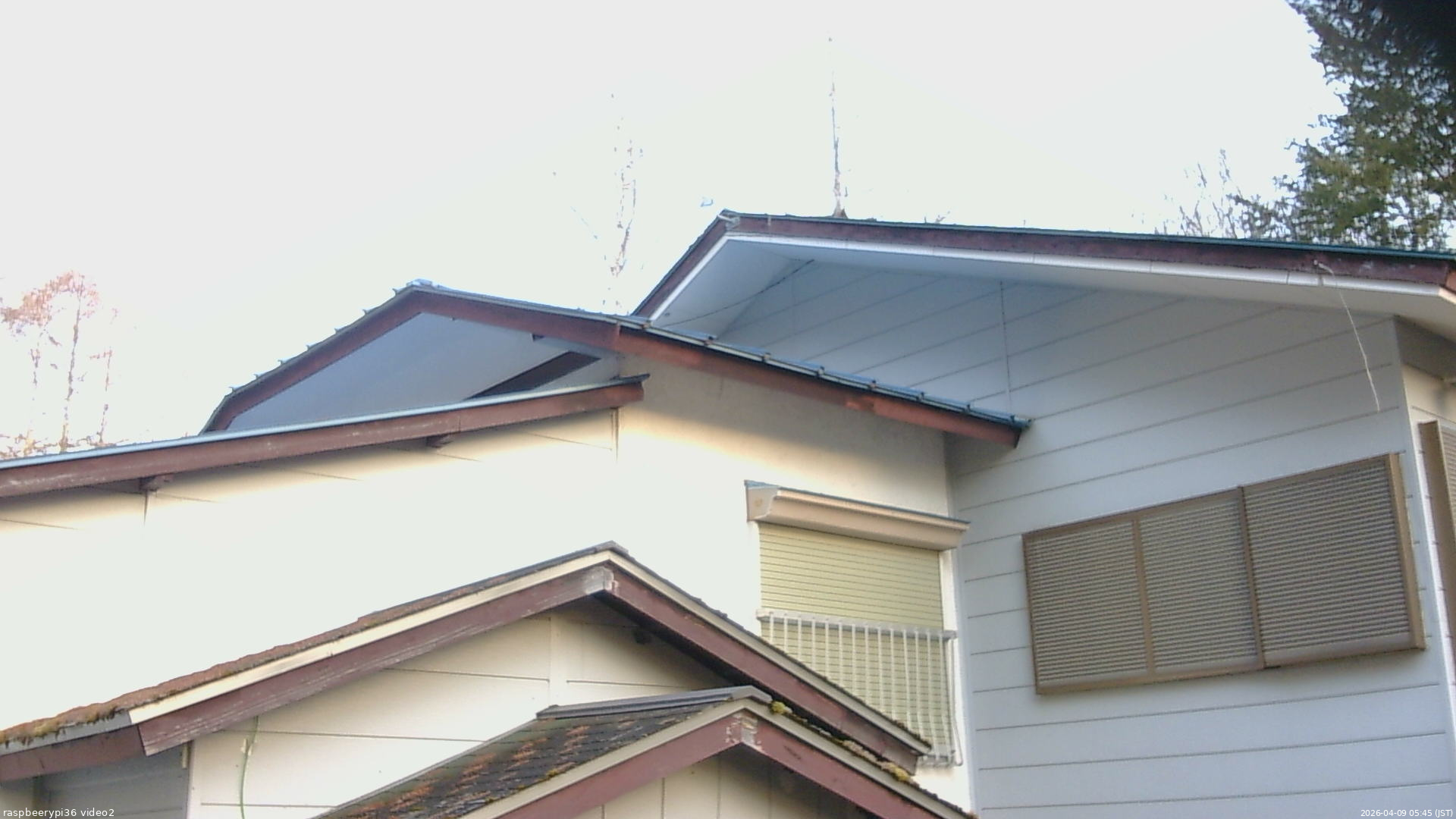 長野県菅平高原 ゆたか山荘 駐車場奥 2026/04/09 05:45