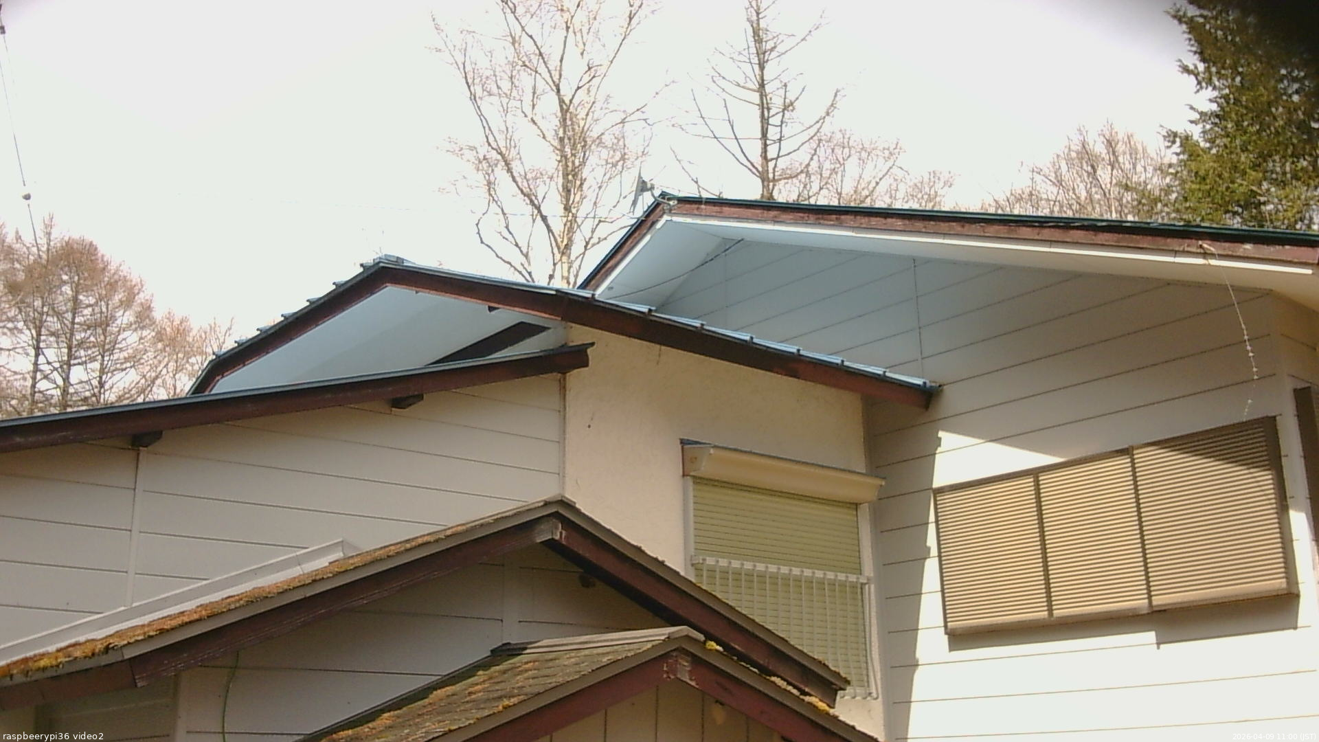 長野県菅平高原 ゆたか山荘 駐車場奥 2026/04/09 11:00