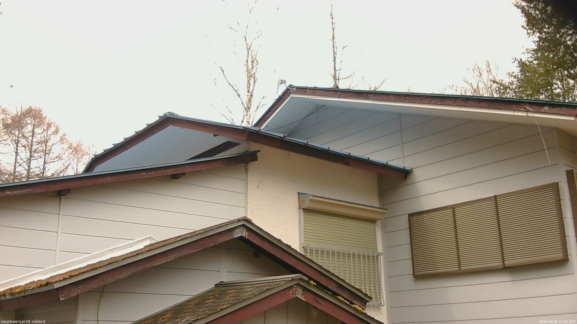 長野県菅平高原 ゆたか山荘 駐車場奥 2026/04/09 12:30