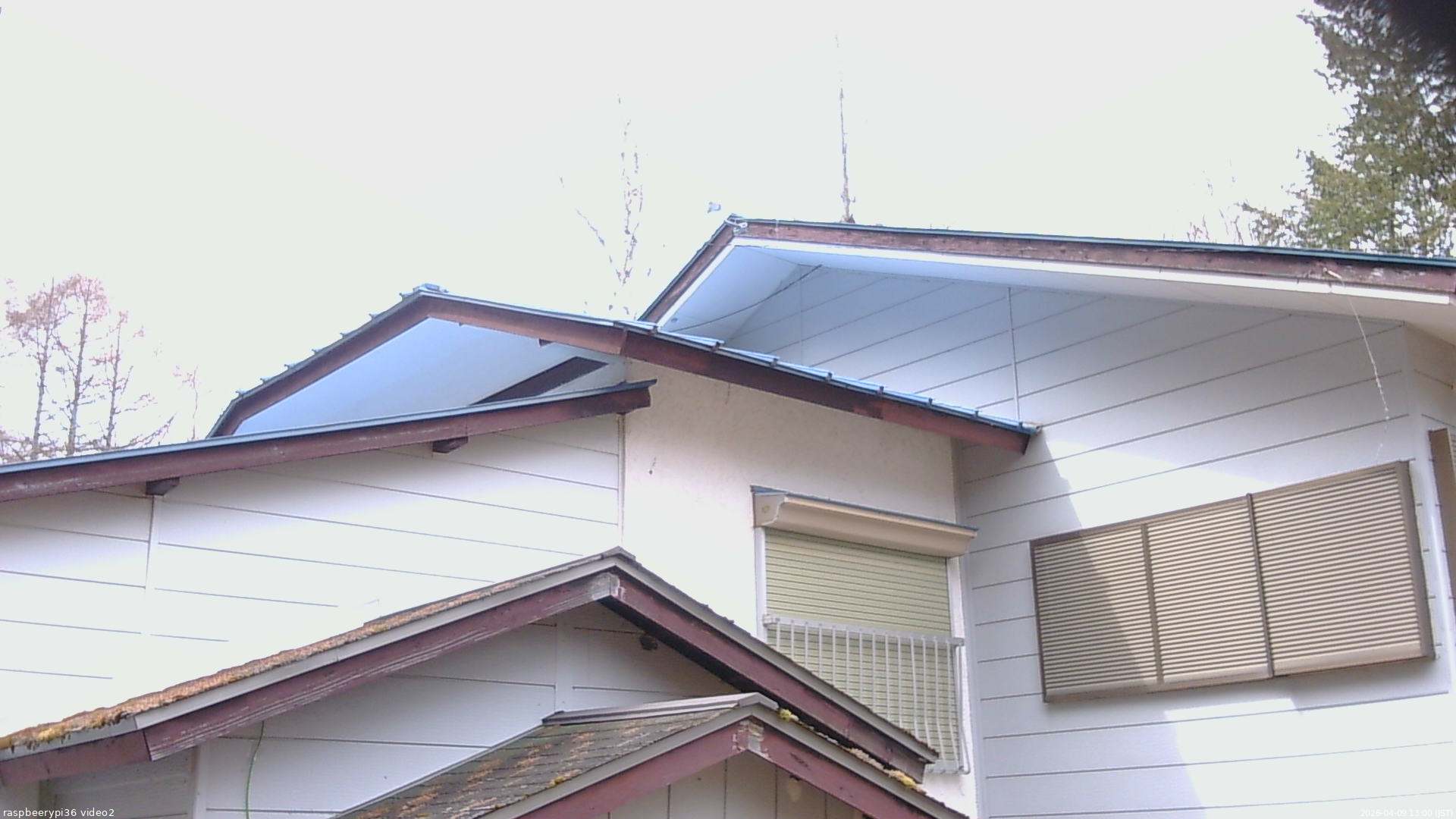 長野県菅平高原 ゆたか山荘 駐車場奥 2026/04/09 13:00