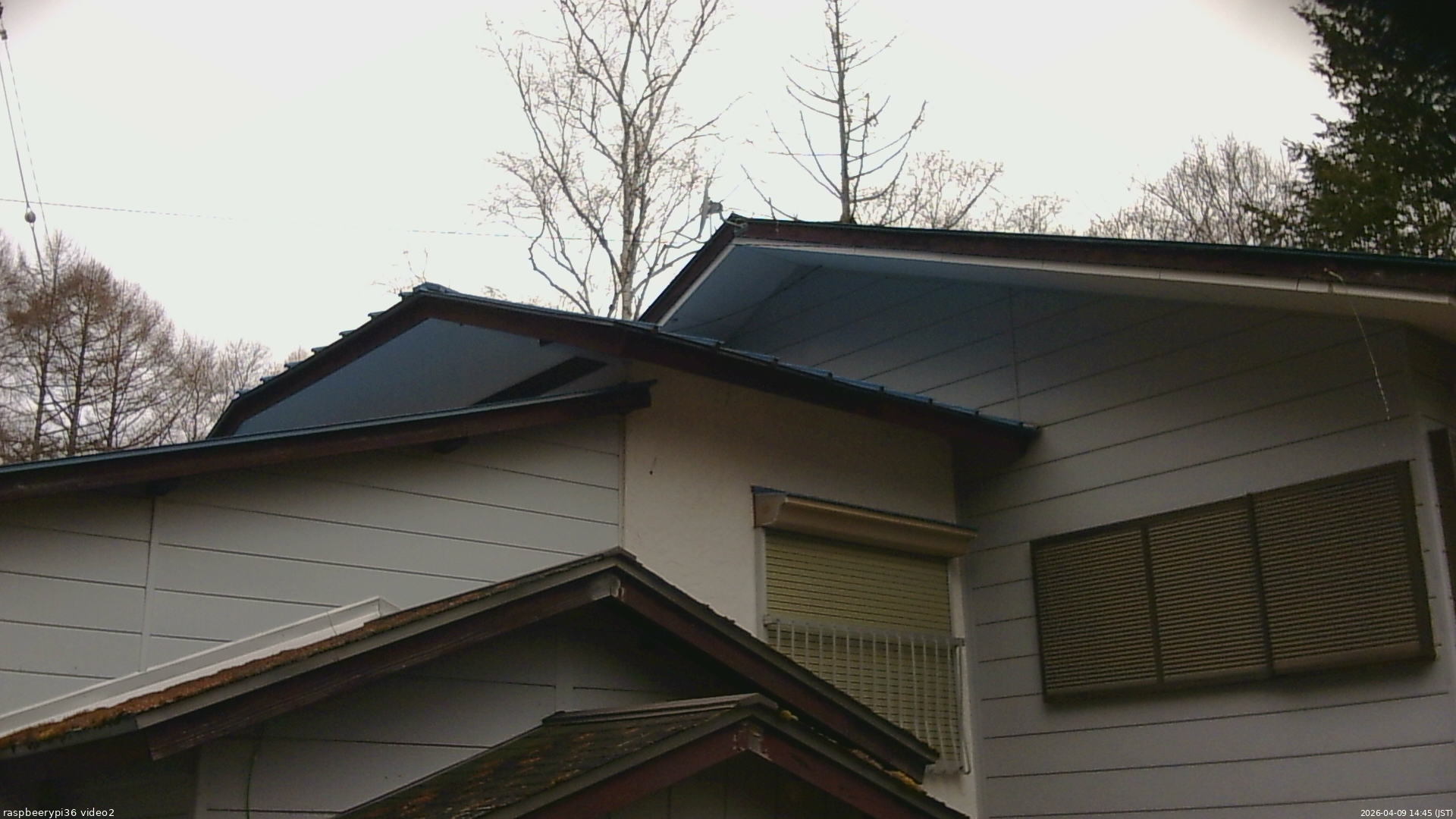 長野県菅平高原 ゆたか山荘 駐車場奥 2026/04/09 14:45