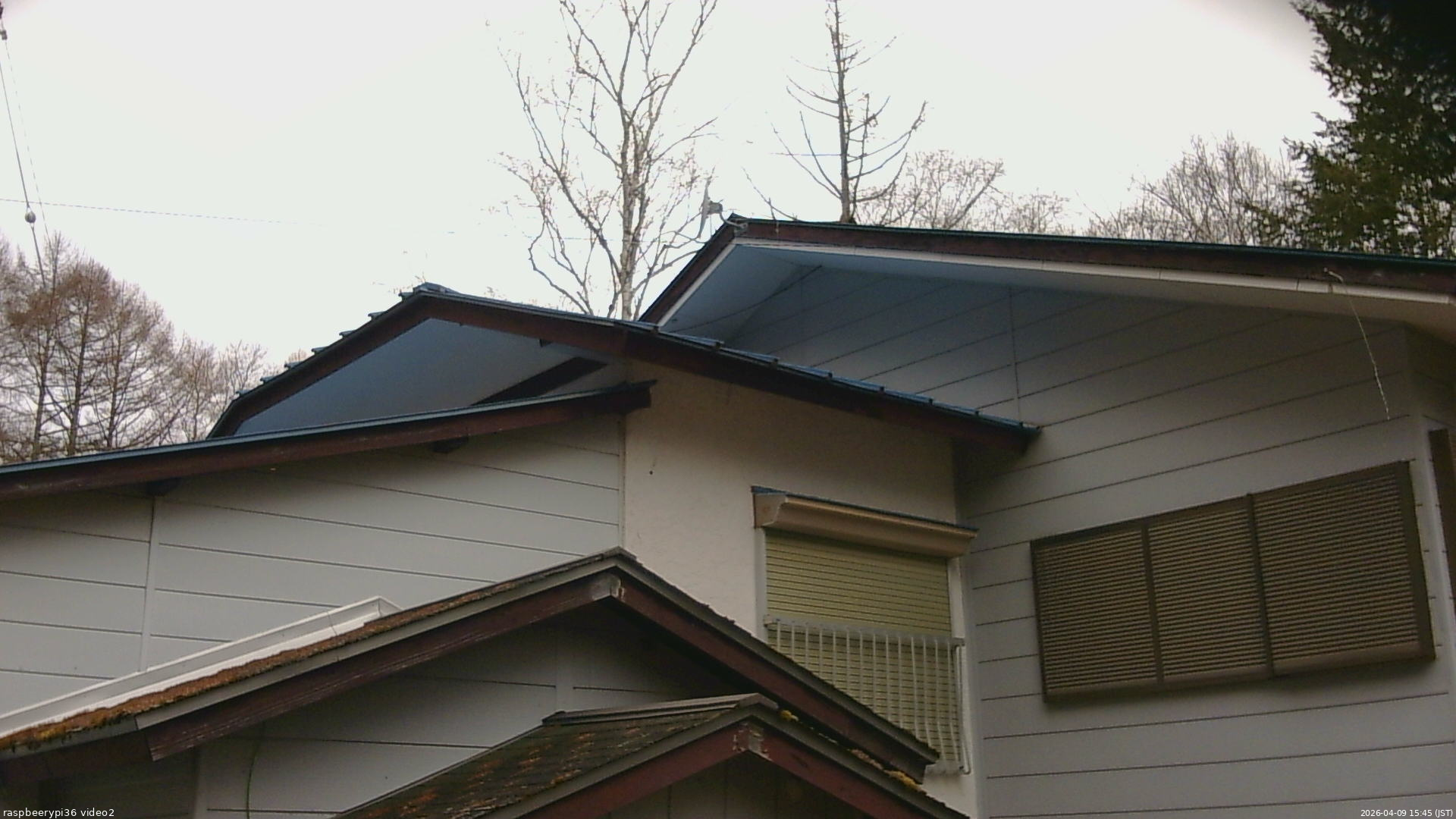 長野県菅平高原 ゆたか山荘 駐車場奥 2026/04/09 15:45