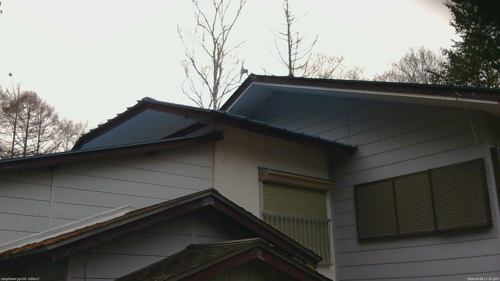 長野県菅平高原 ゆたか山荘 駐車場奥 2026/04/09 17:30