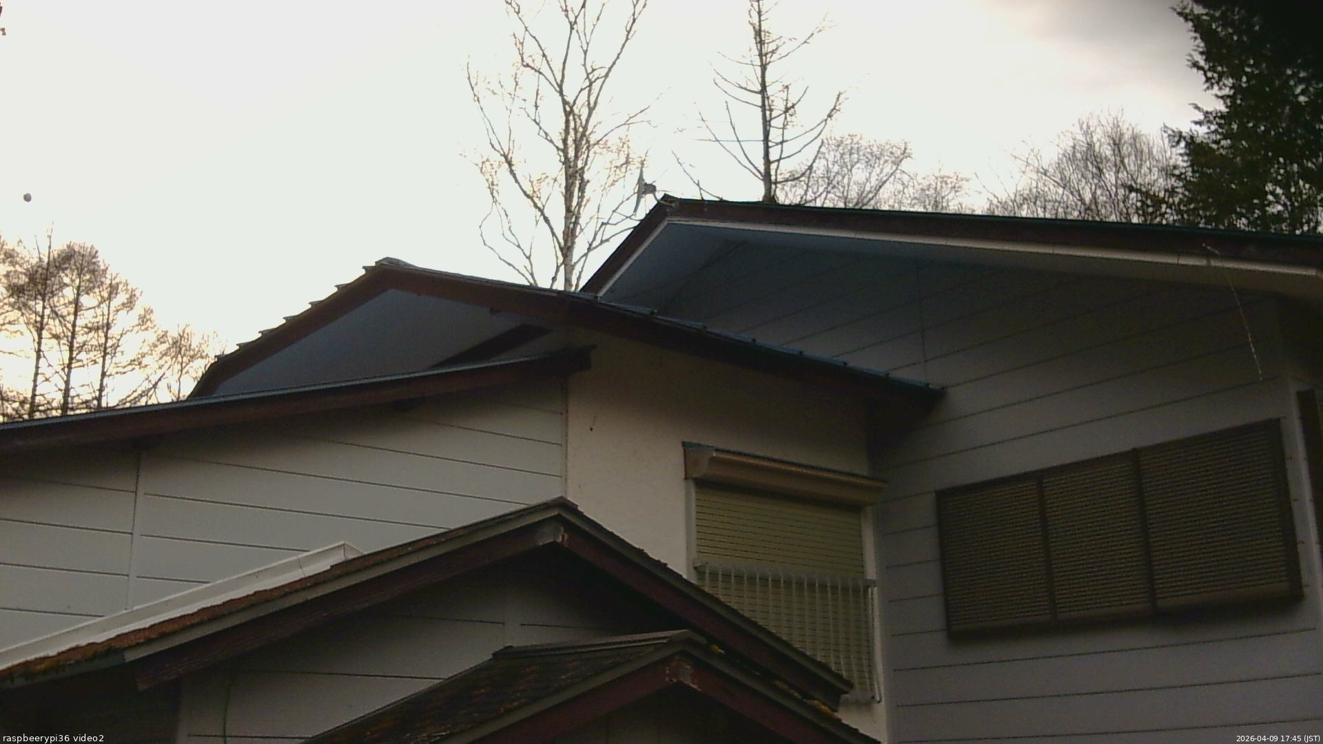 長野県菅平高原 ゆたか山荘 駐車場奥 2026/04/09 17:45