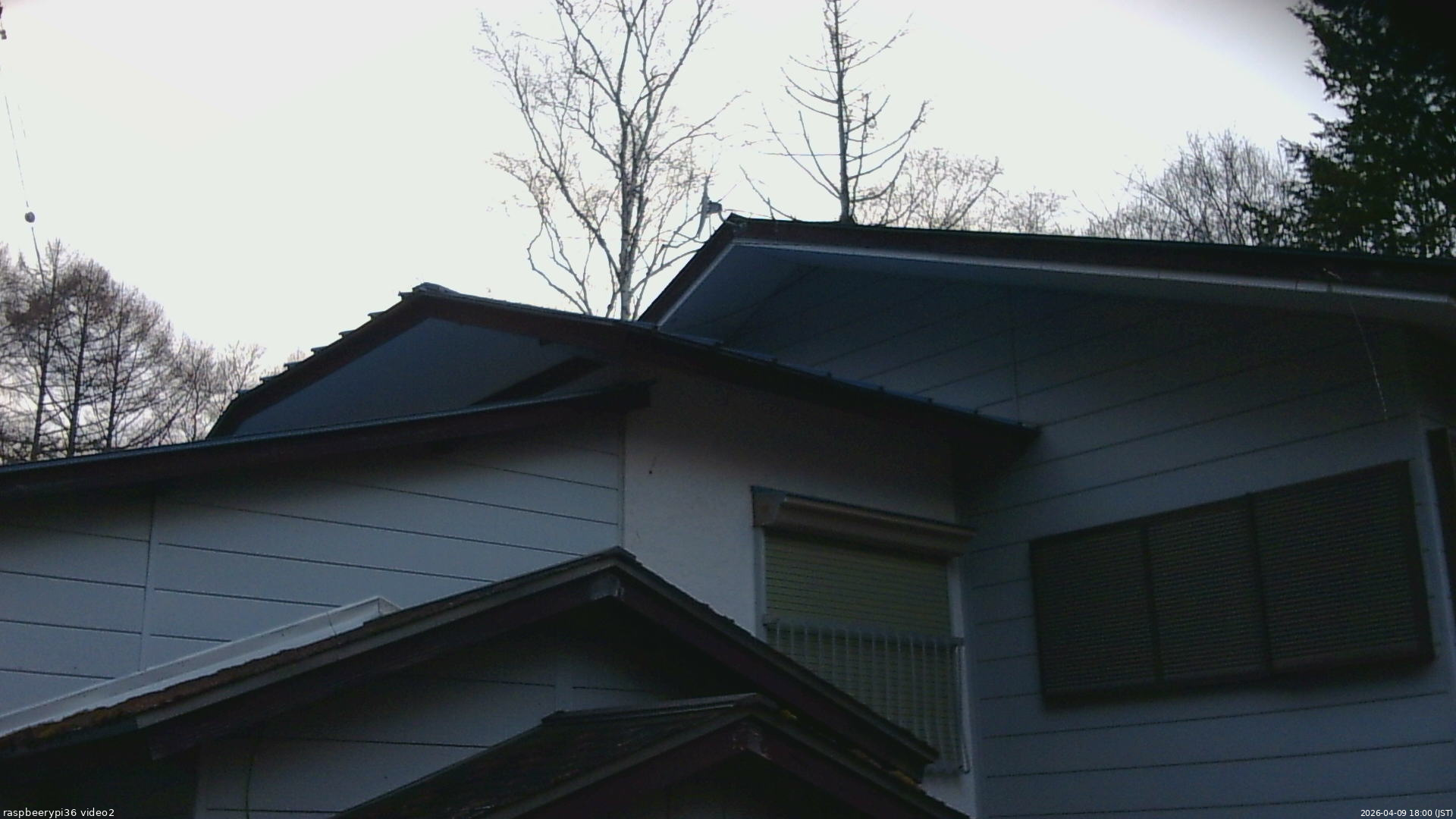 長野県菅平高原 ゆたか山荘 駐車場奥 2026/04/09 18:00