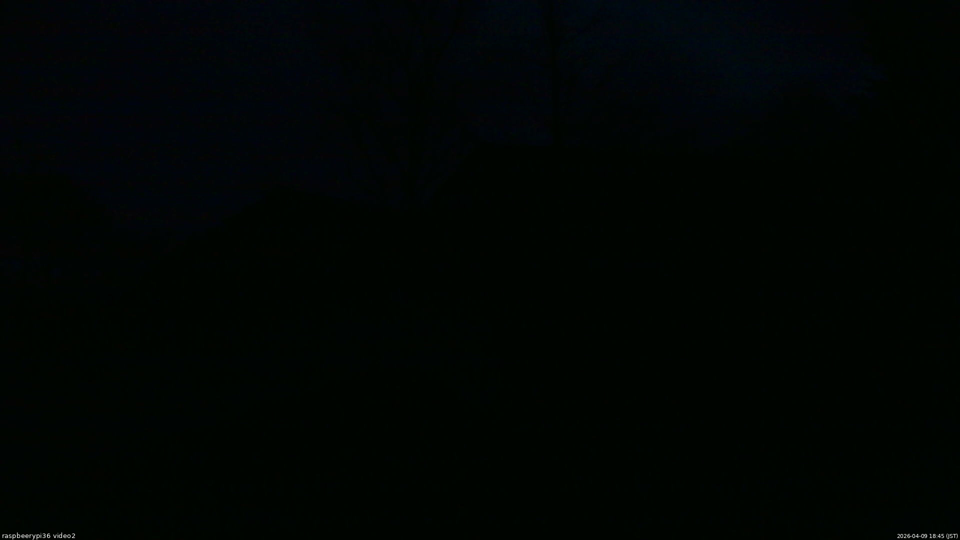 長野県菅平高原 ゆたか山荘 駐車場奥 2026/04/09 18:45