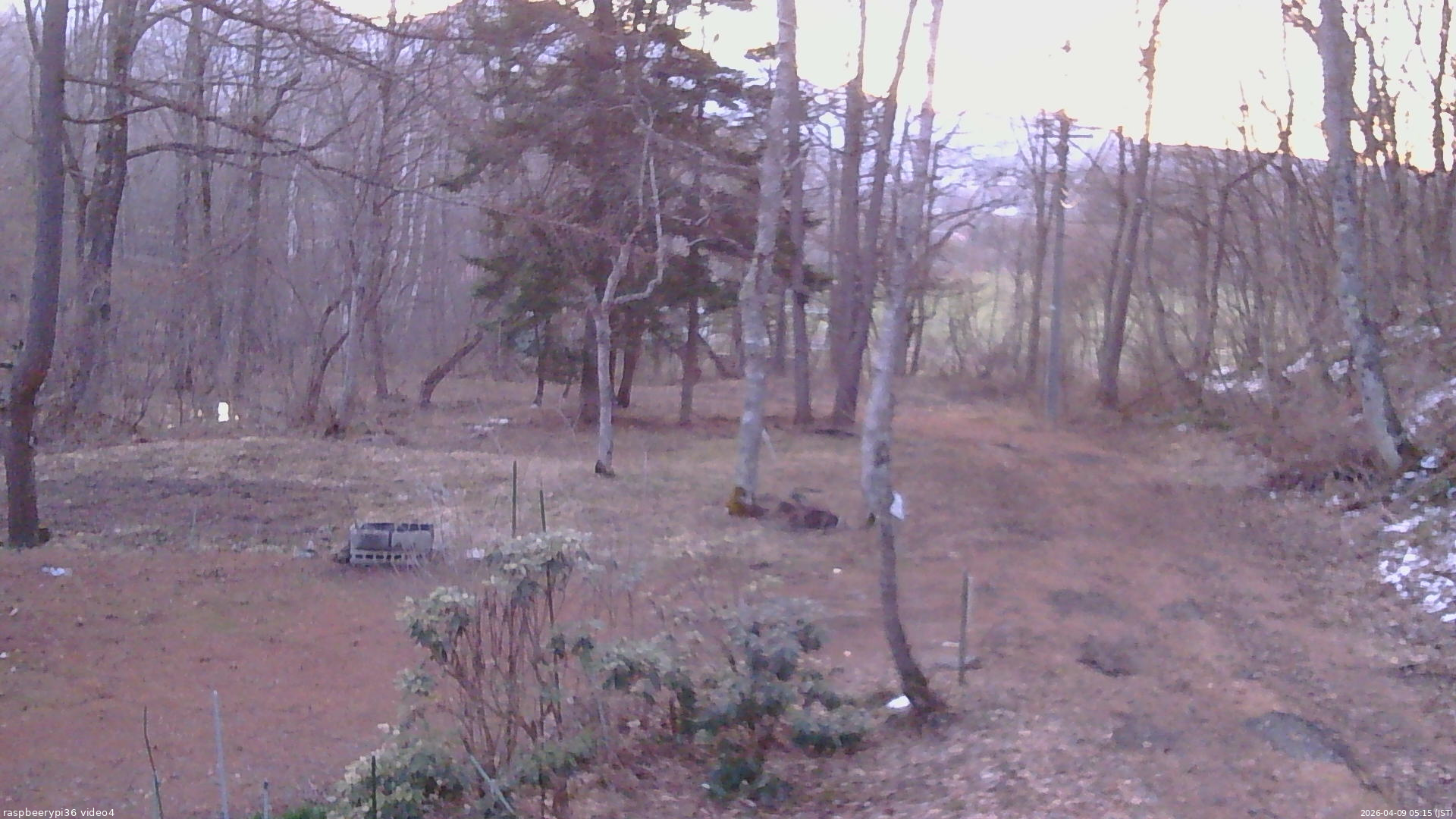 長野県菅平高原 ゆたか山荘 坂上 2026/04/09 05:15