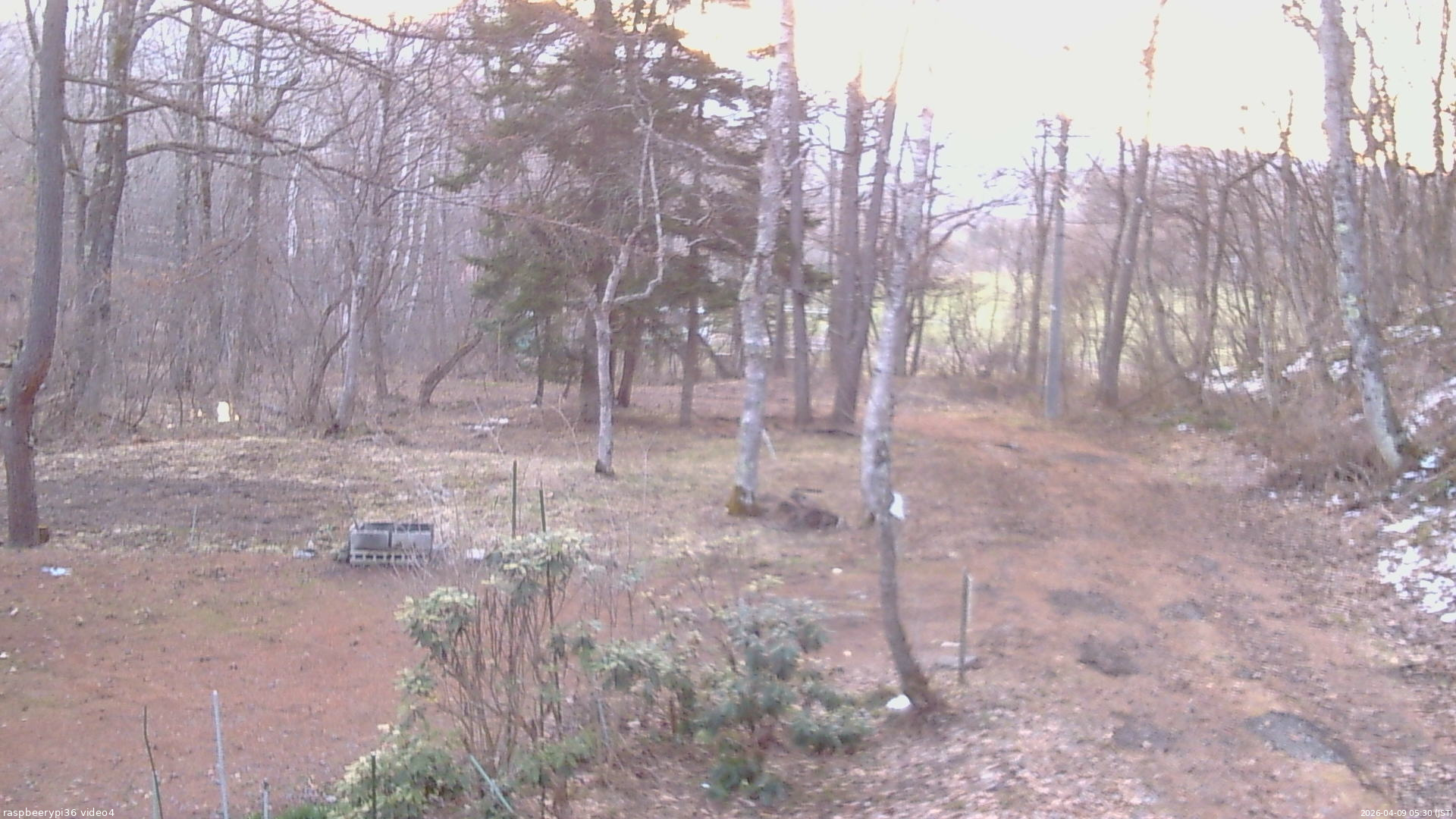 長野県菅平高原 ゆたか山荘 坂上 2026/04/09 05:30