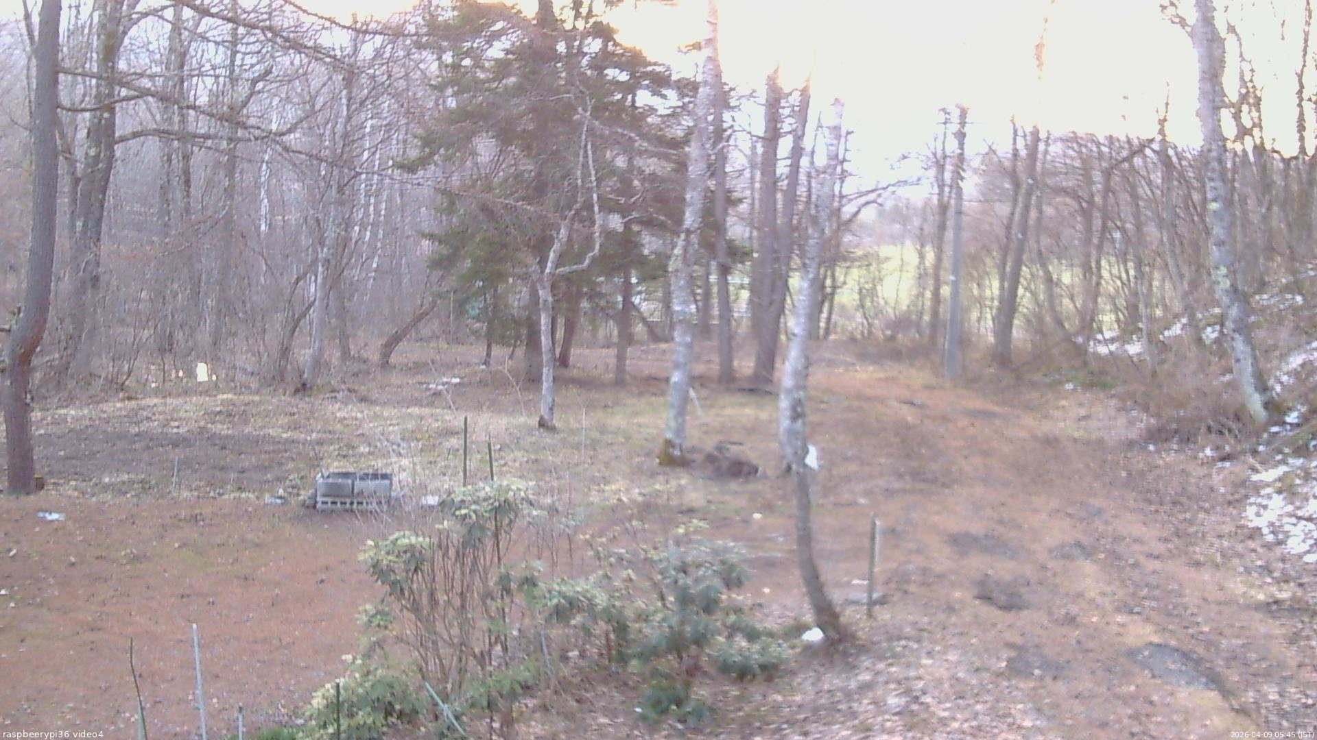 長野県菅平高原 ゆたか山荘 坂上 2026/04/09 05:45