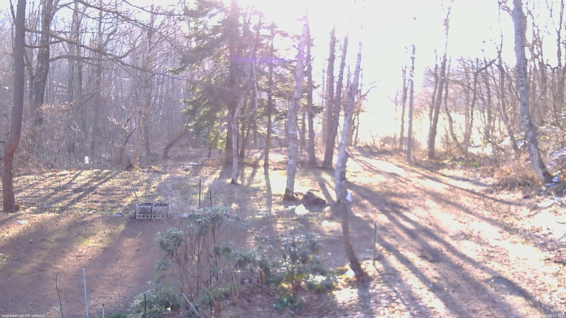 長野県菅平高原 ゆたか山荘 坂上 2026/04/09 06:15