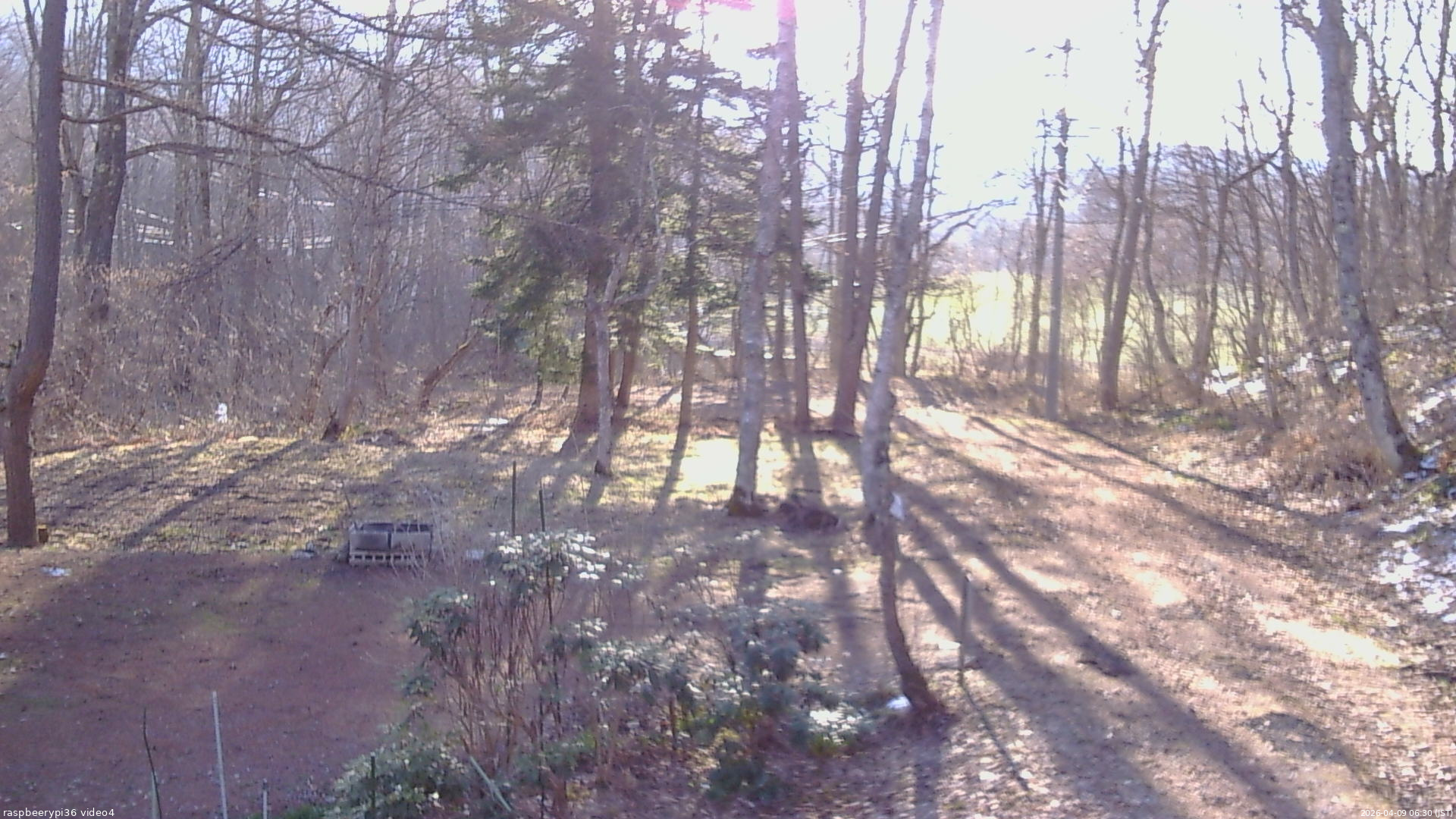 長野県菅平高原 ゆたか山荘 坂上 2026/04/09 06:30
