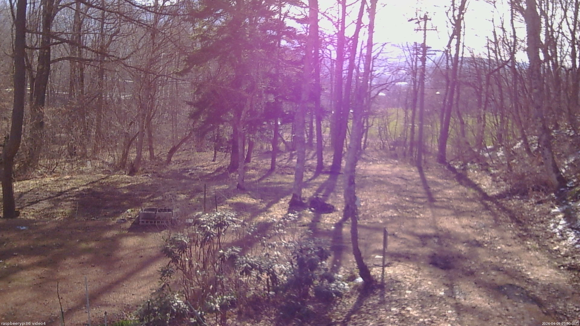 長野県菅平高原 ゆたか山荘 坂上 2026/04/09 07:30