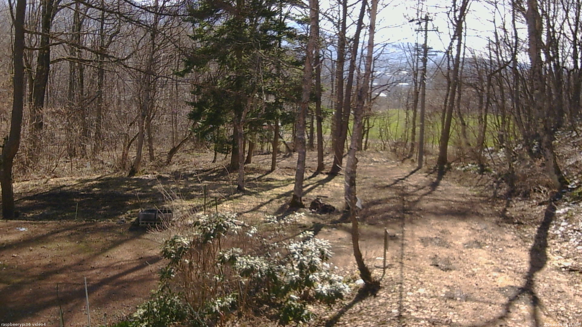 長野県菅平高原 ゆたか山荘 坂上 2026/04/09 08:15