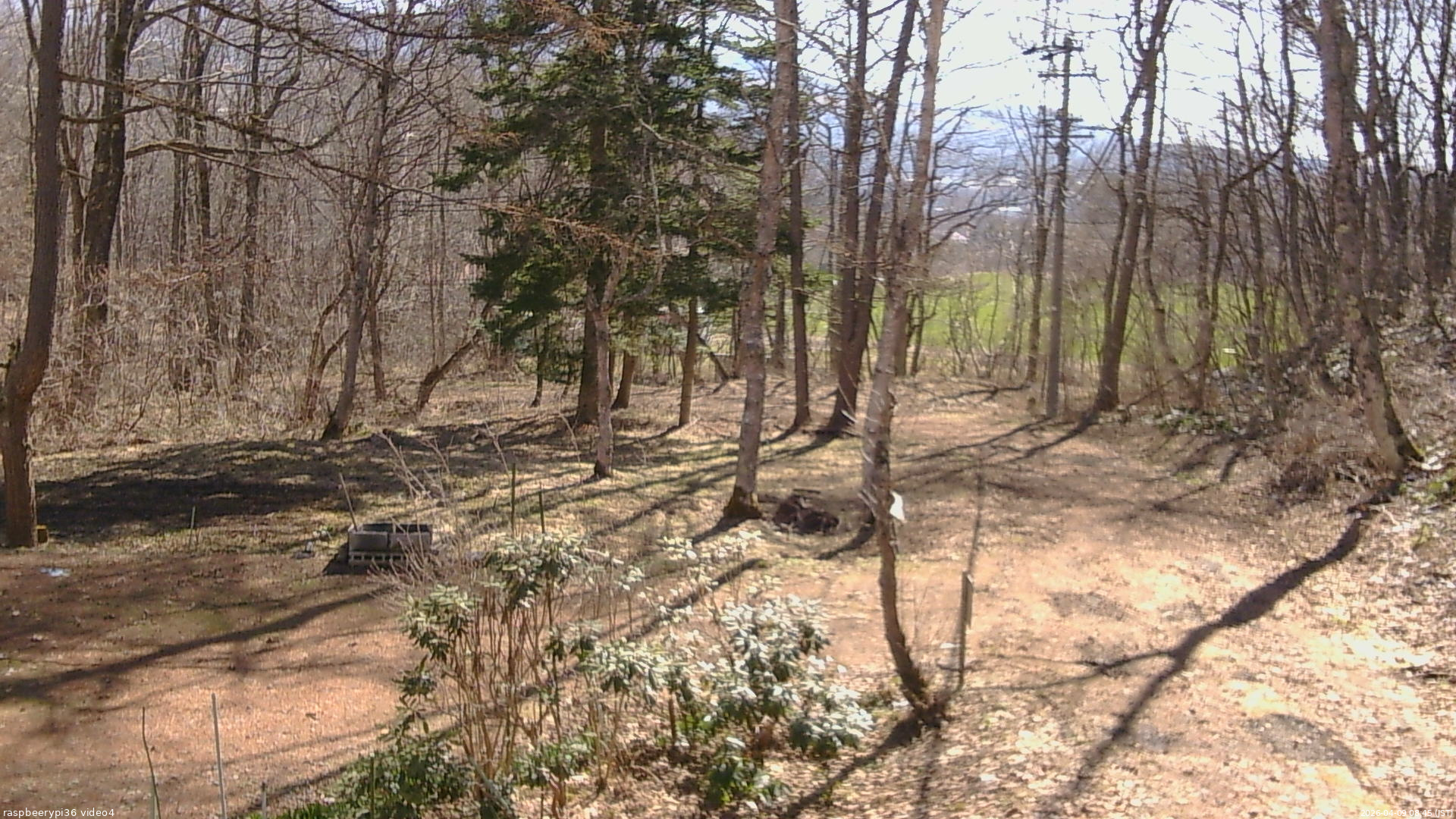 長野県菅平高原 ゆたか山荘 坂上 2026/04/09 08:45