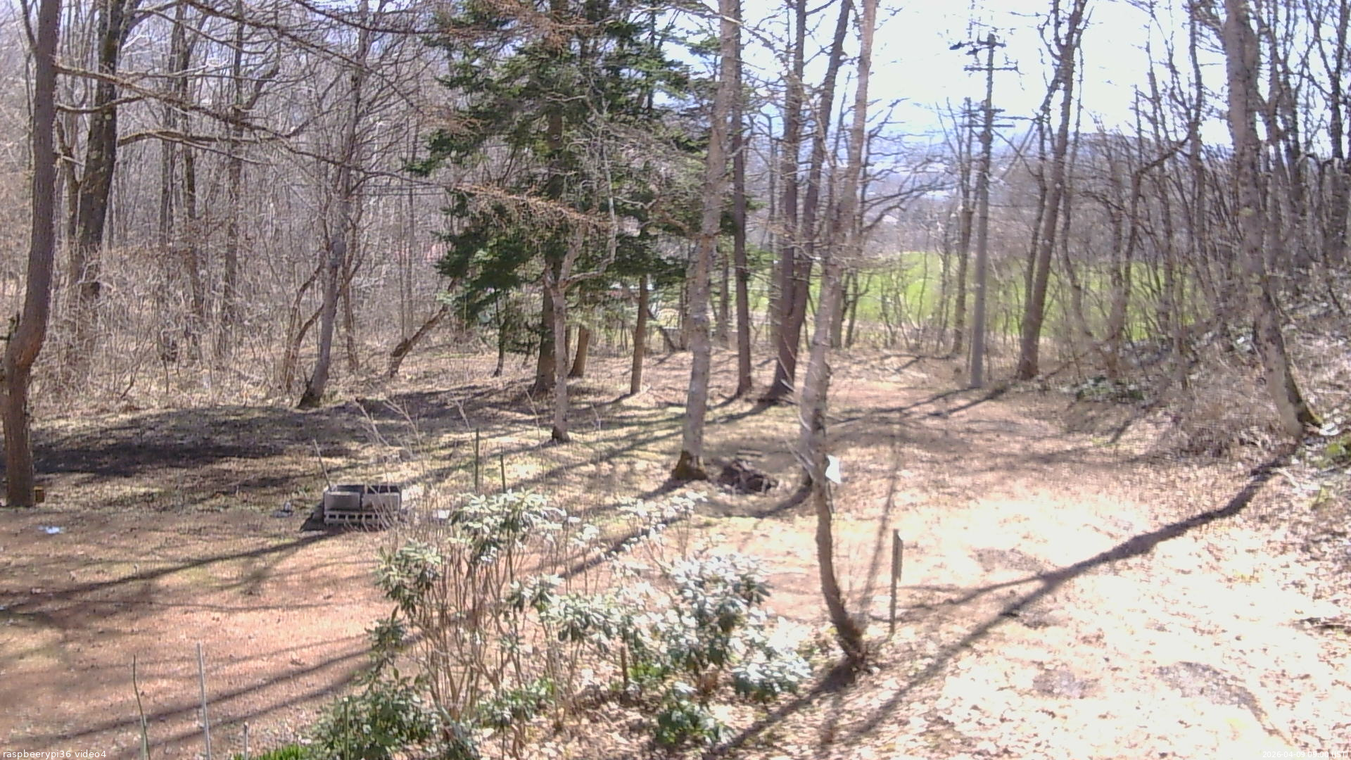 長野県菅平高原 ゆたか山荘 坂上 2026/04/09 09:00