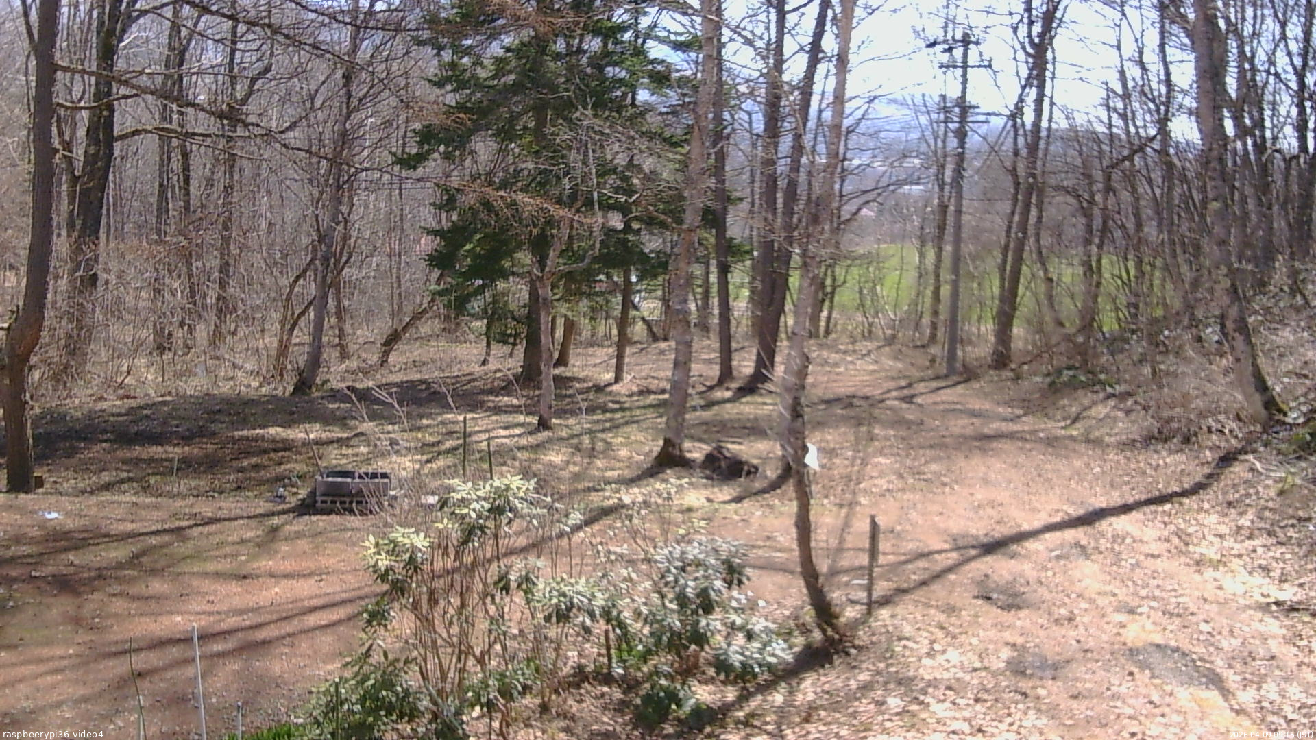 長野県菅平高原 ゆたか山荘 坂上 2026/04/09 09:15