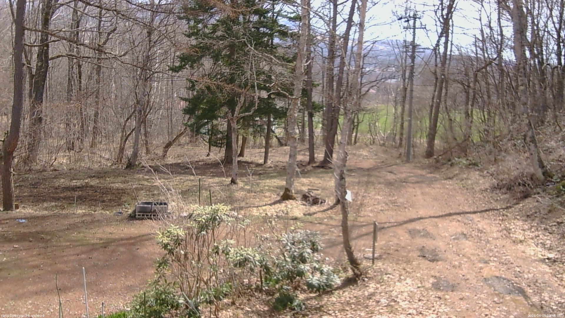 長野県菅平高原 ゆたか山荘 坂上 2026/04/09 09:45