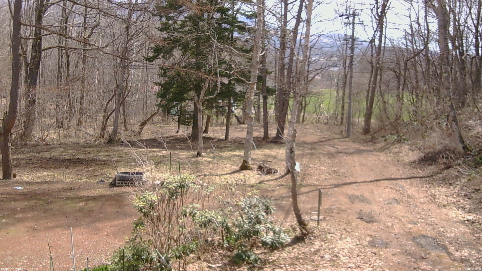 長野県菅平高原 ゆたか山荘 坂上 2026/04/09 10:00
