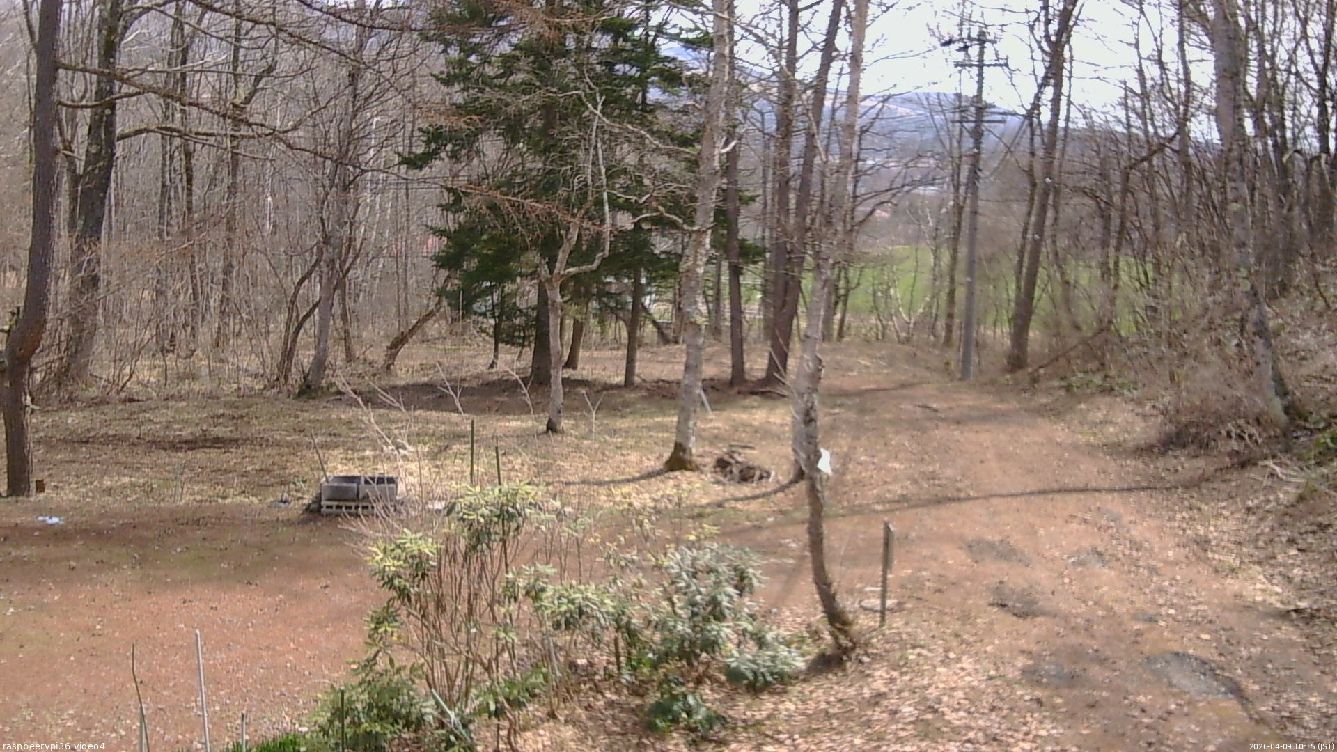 長野県菅平高原 ゆたか山荘 坂上 2026/04/09 10:15