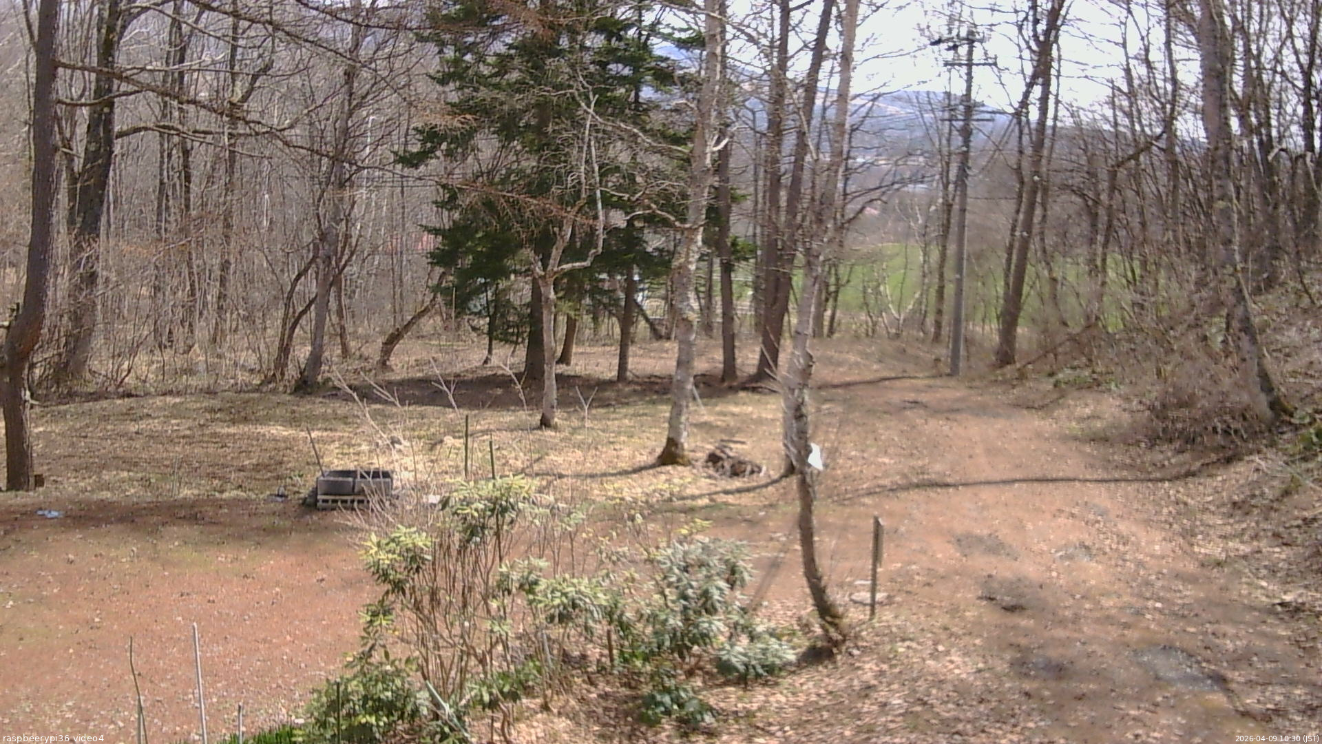 長野県菅平高原 ゆたか山荘 坂上 2026/04/09 10:30