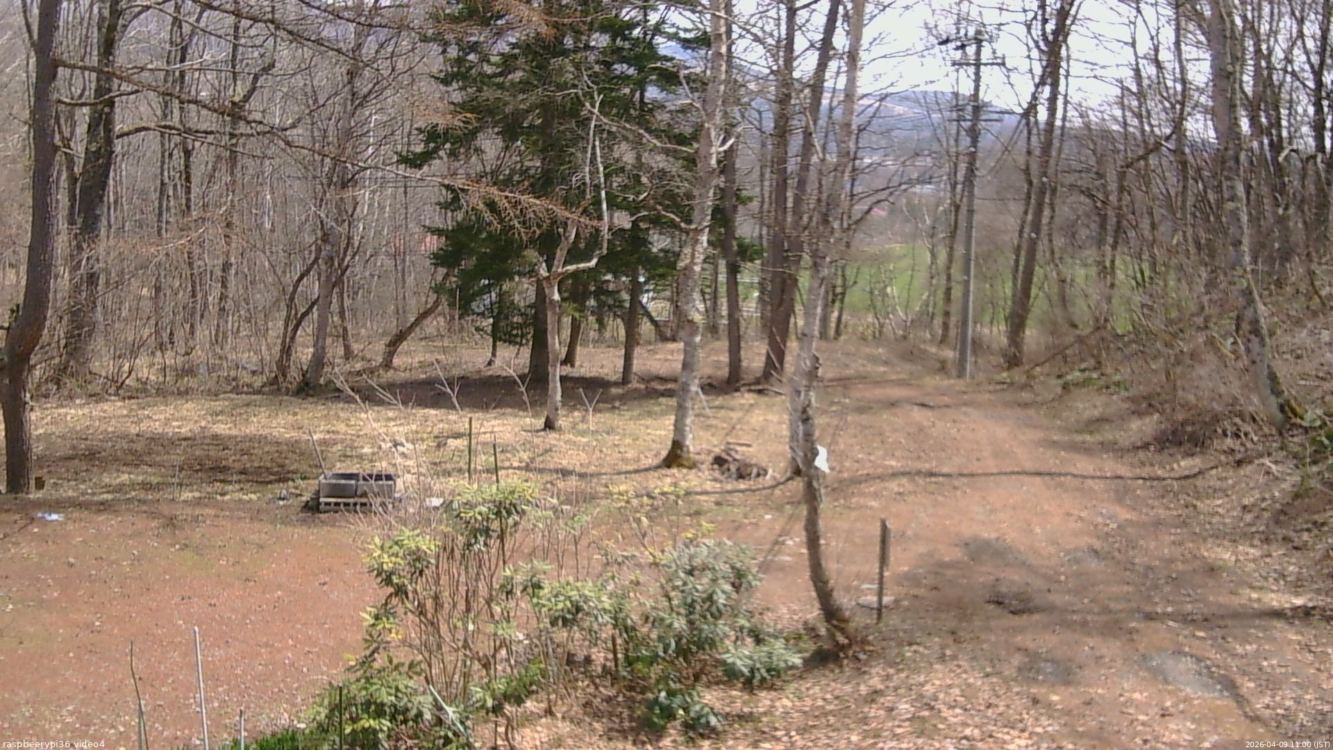 長野県菅平高原 ゆたか山荘 坂上 2026/04/09 11:00