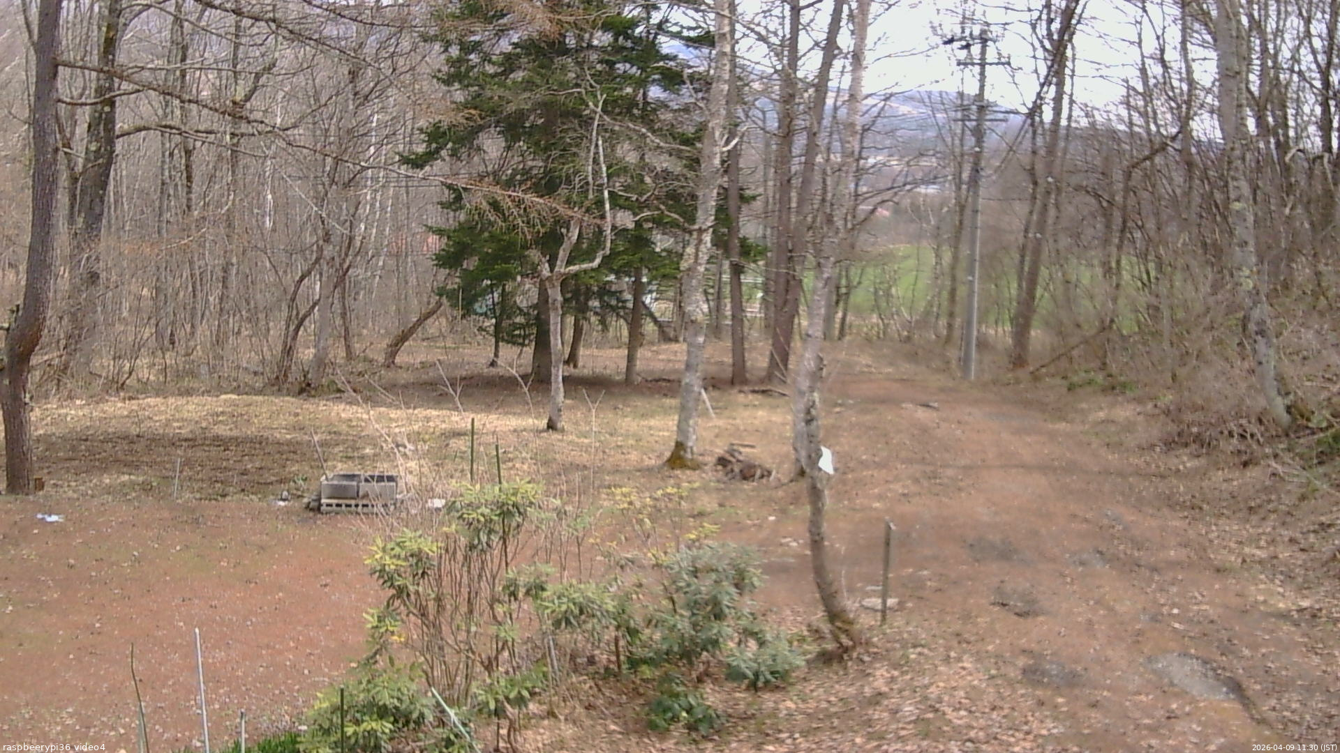 長野県菅平高原 ゆたか山荘 坂上 2026/04/09 11:30