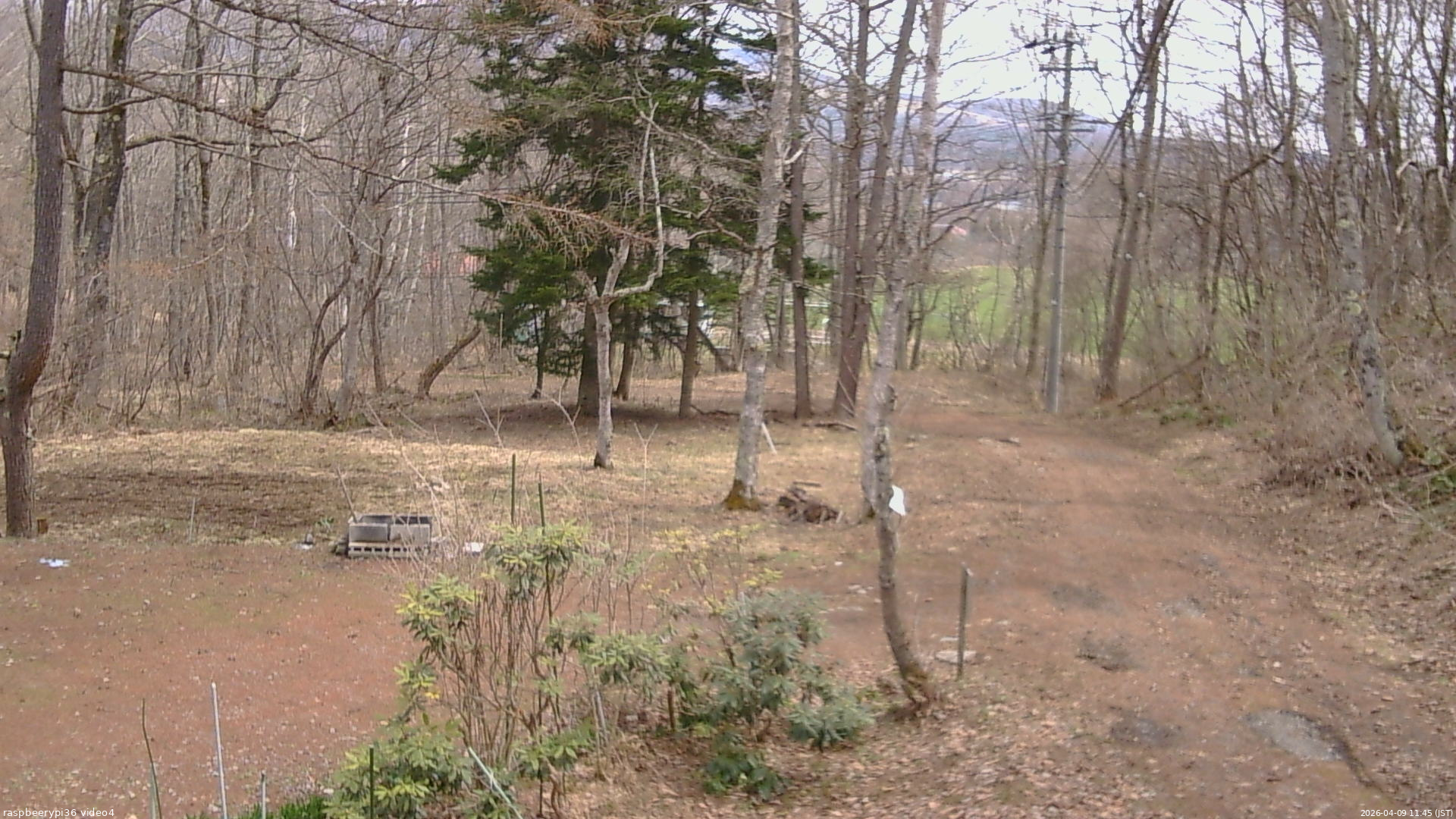 長野県菅平高原 ゆたか山荘 坂上 2026/04/09 11:45