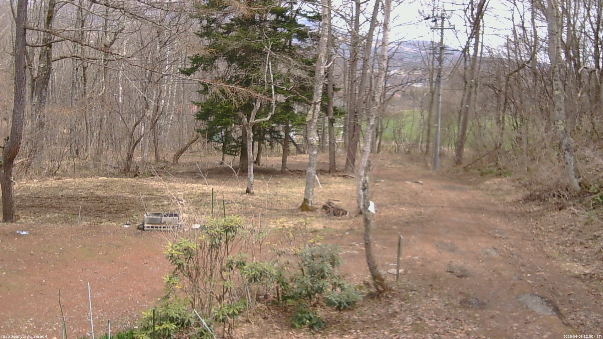 長野県菅平高原 ゆたか山荘 坂上 2026/04/09 12:00