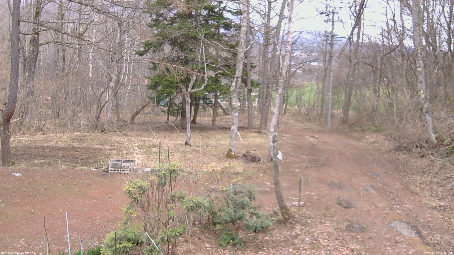 長野県菅平高原 ゆたか山荘 坂上 2026/04/09 13:00