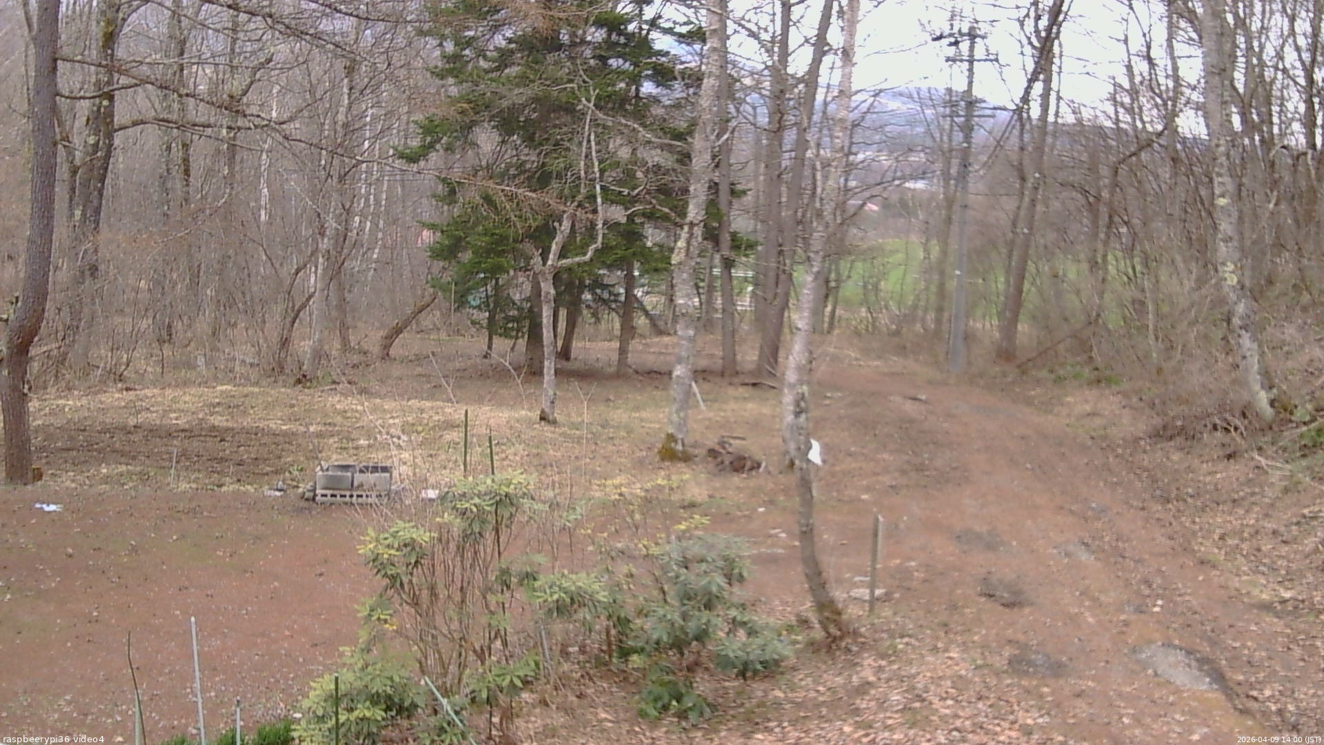 長野県菅平高原 ゆたか山荘 坂上 2026/04/09 14:00