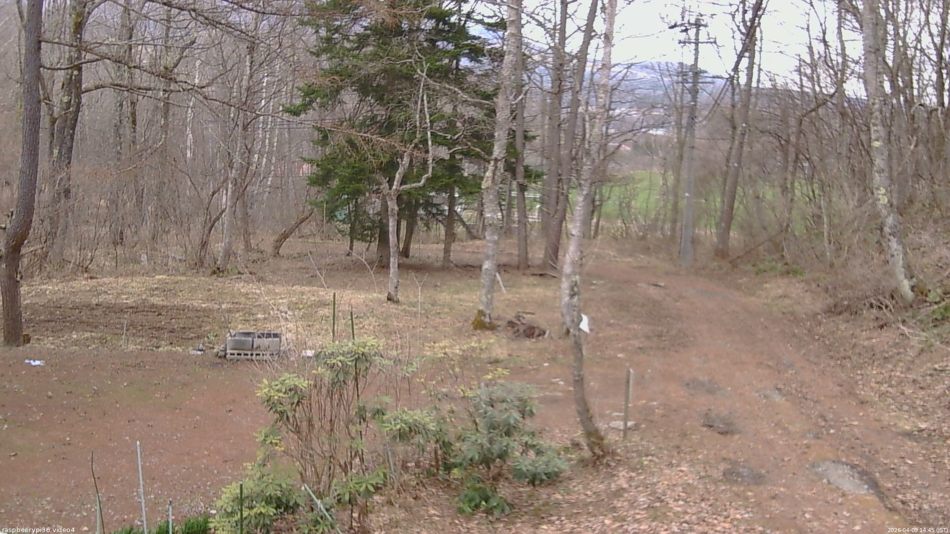 長野県菅平高原 ゆたか山荘 坂上 2026/04/09 14:45