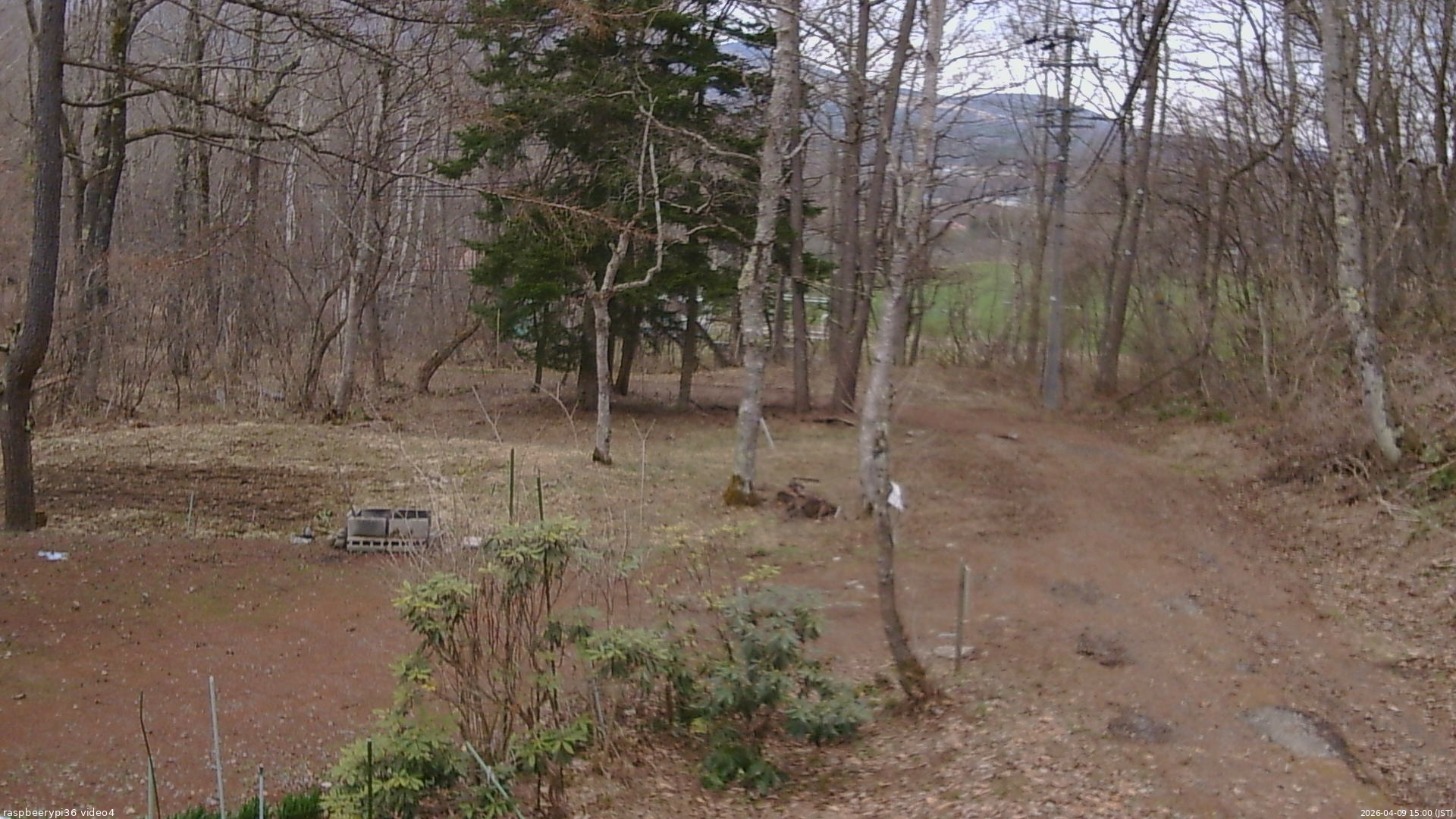 長野県菅平高原 ゆたか山荘 坂上 2026/04/09 15:00