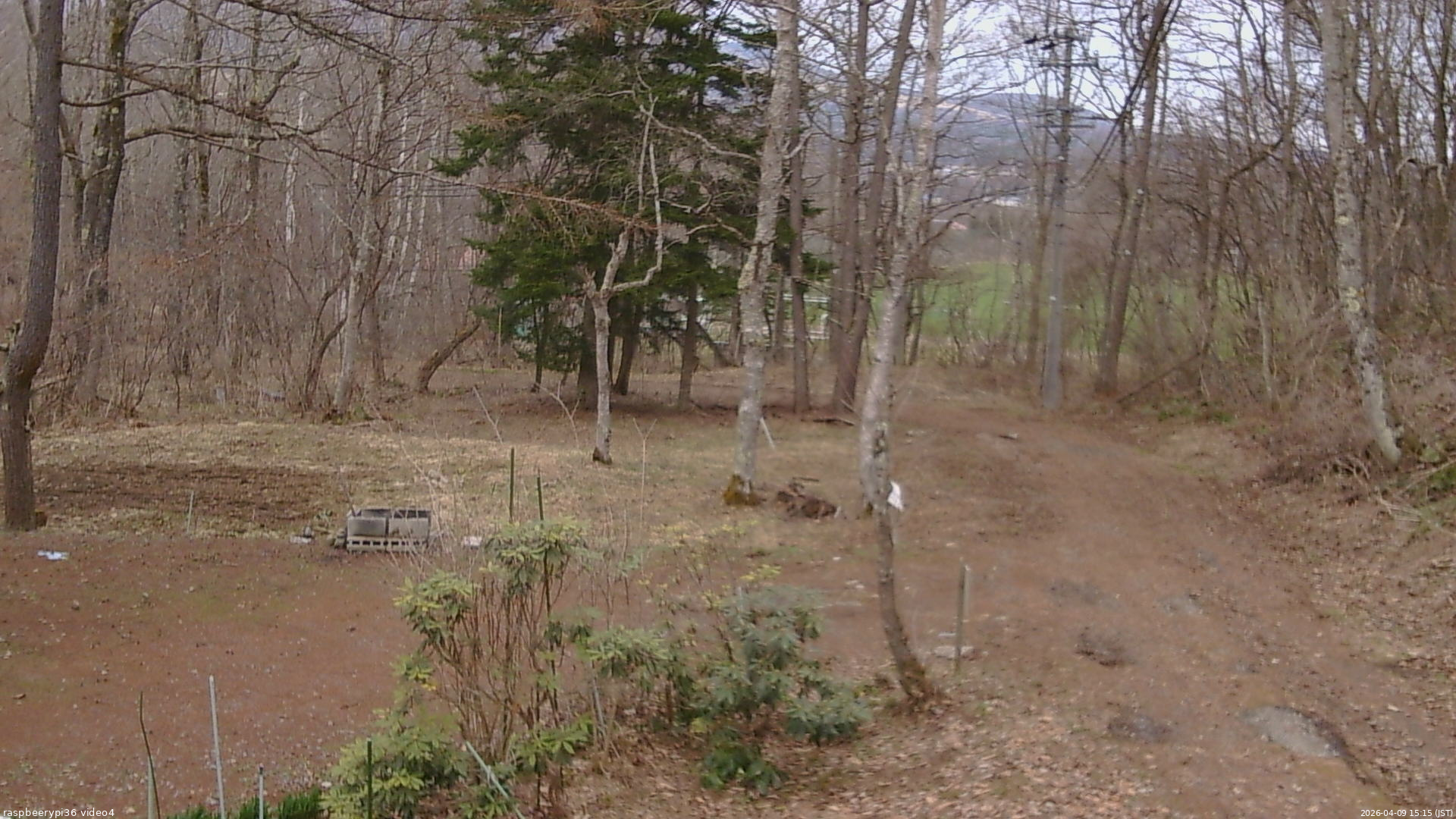長野県菅平高原 ゆたか山荘 坂上 2026/04/09 15:15
