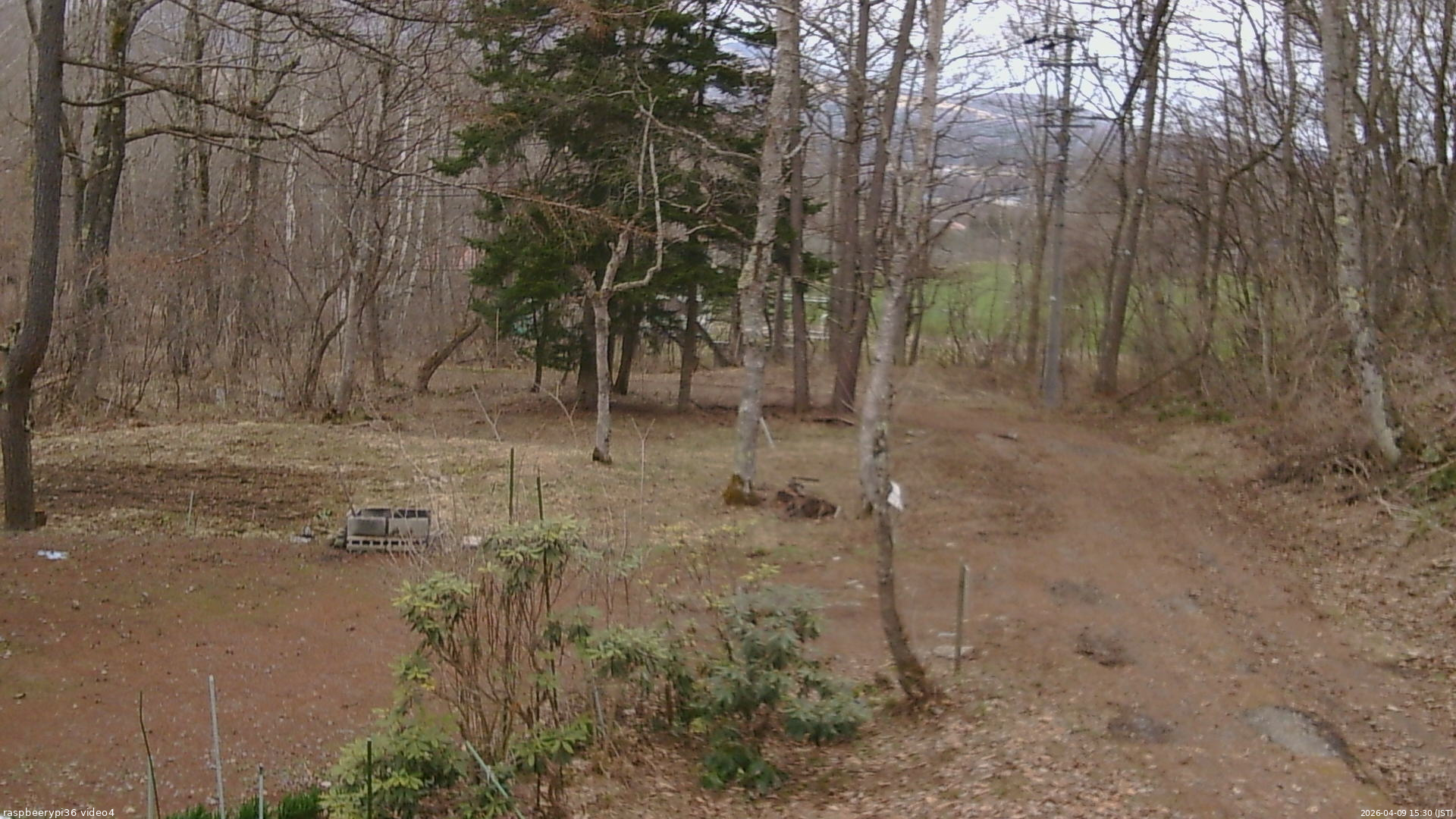 長野県菅平高原 ゆたか山荘 坂上 2026/04/09 15:30