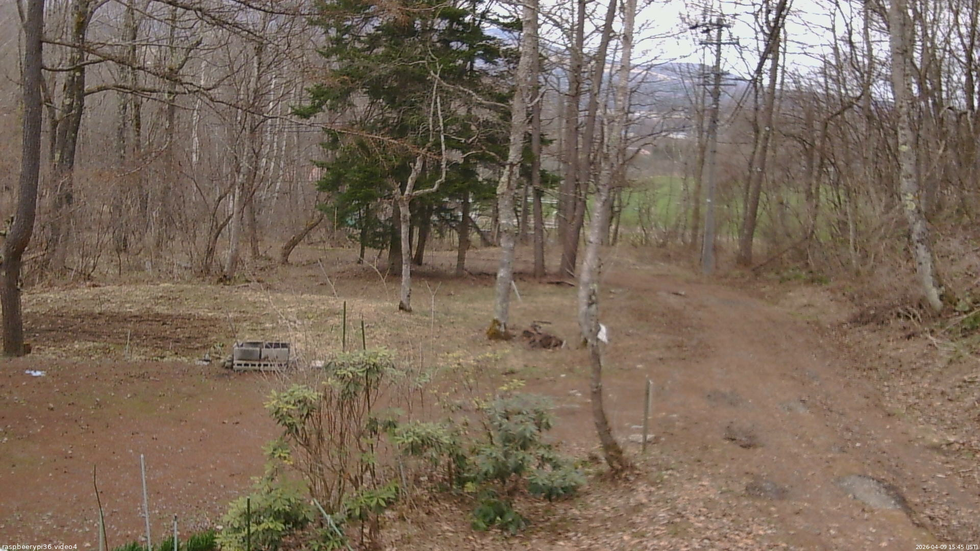 長野県菅平高原 ゆたか山荘 坂上 2026/04/09 15:45