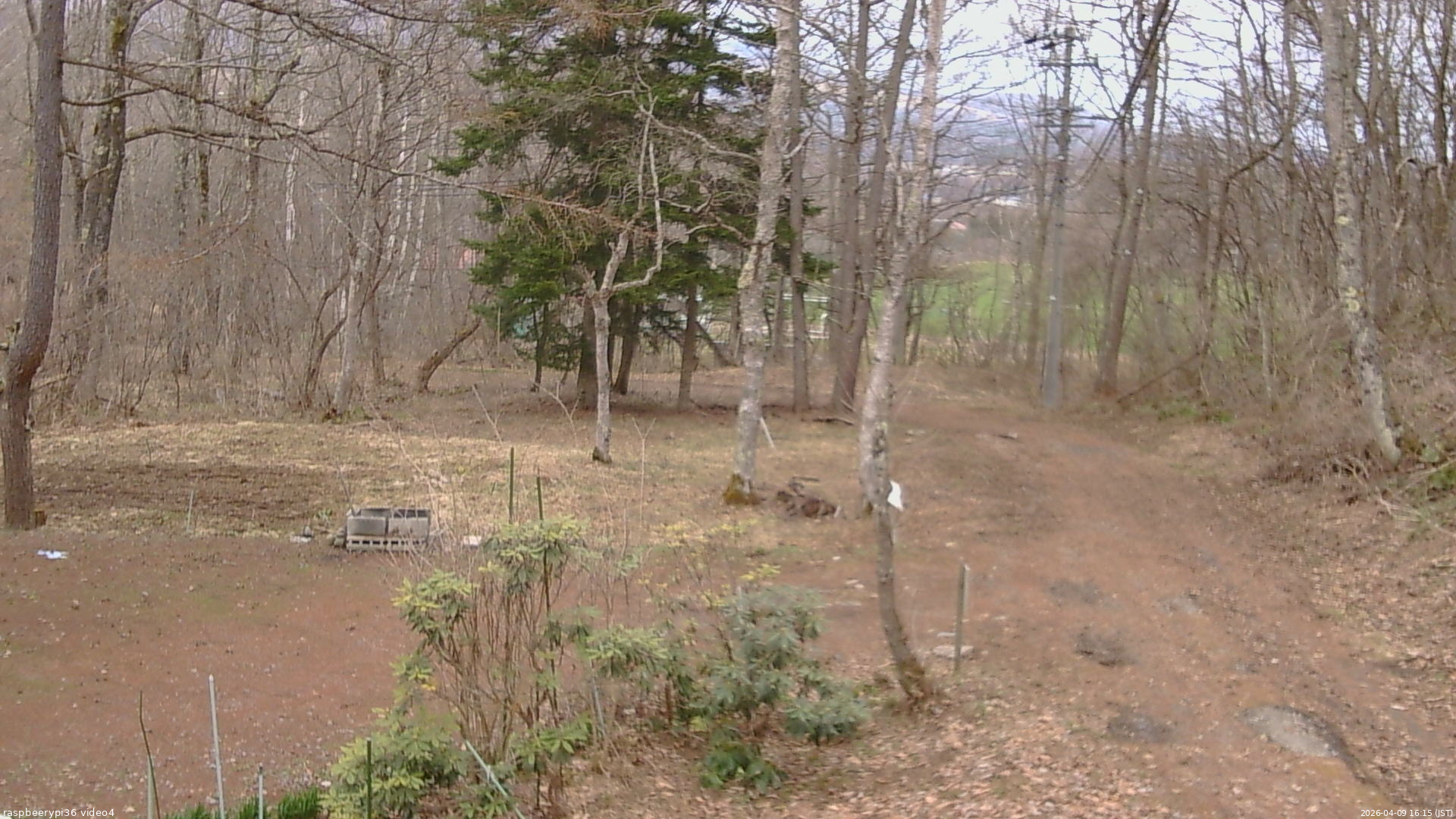 長野県菅平高原 ゆたか山荘 坂上 2026/04/09 16:15