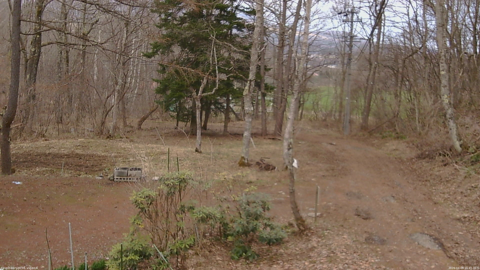 長野県菅平高原 ゆたか山荘 坂上 2026/04/09 16:45