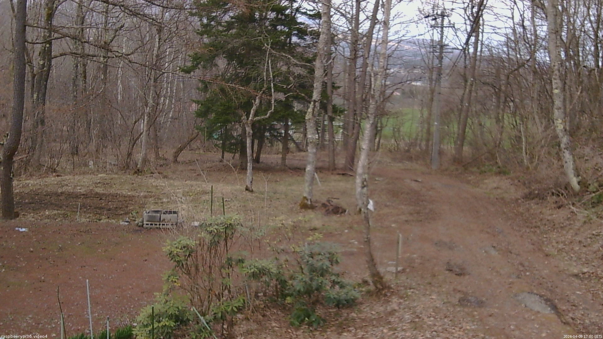 長野県菅平高原 ゆたか山荘 坂上 2026/04/09 17:00